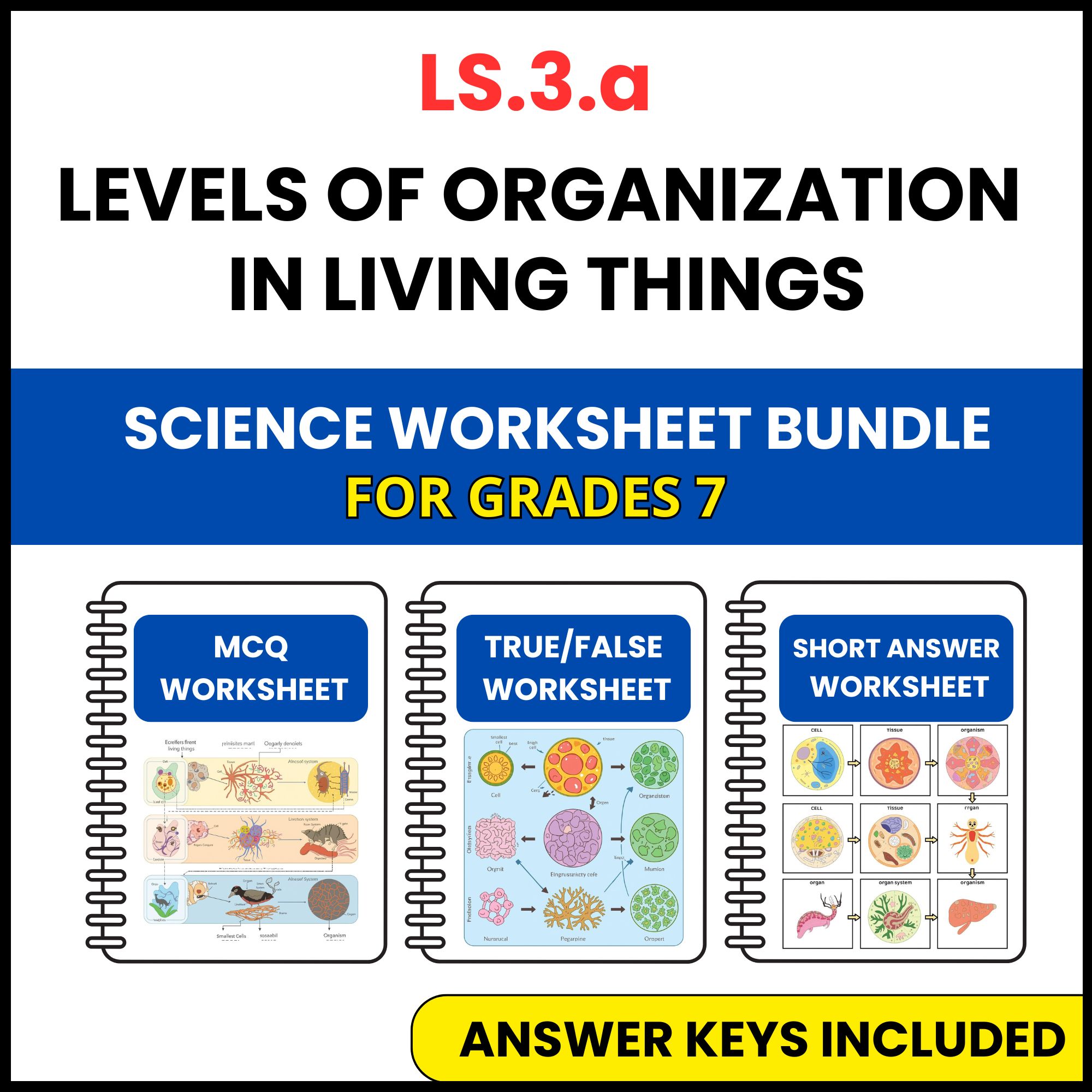 VA SOL Life Science | Levels of Organization in Living | 3 Worksheets | Grade 7
