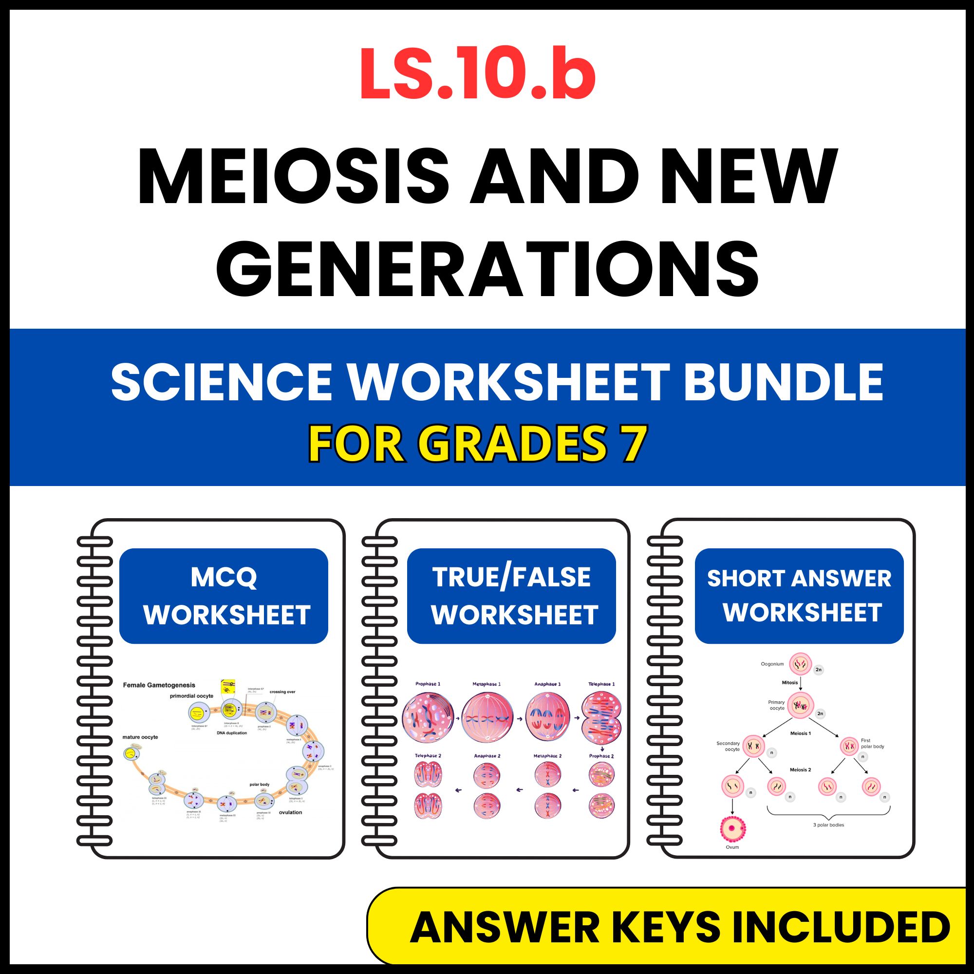 VA SOL Life Science | Meiosis and New Generations | 3 Worksheets | Grade 7