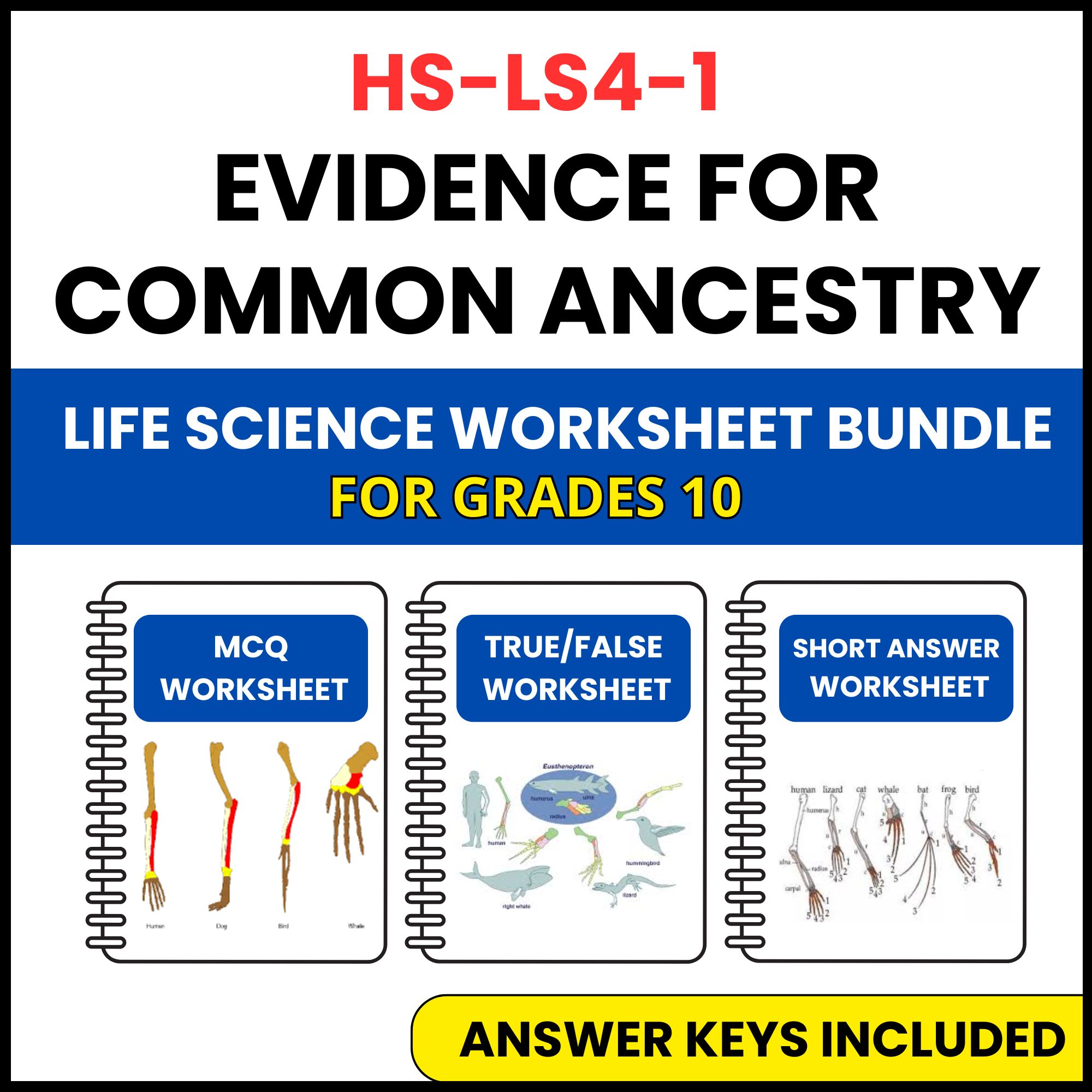 HS NGSS Life Science | Evidence for Common Ancestry | 3 Worksheets | Grade 10