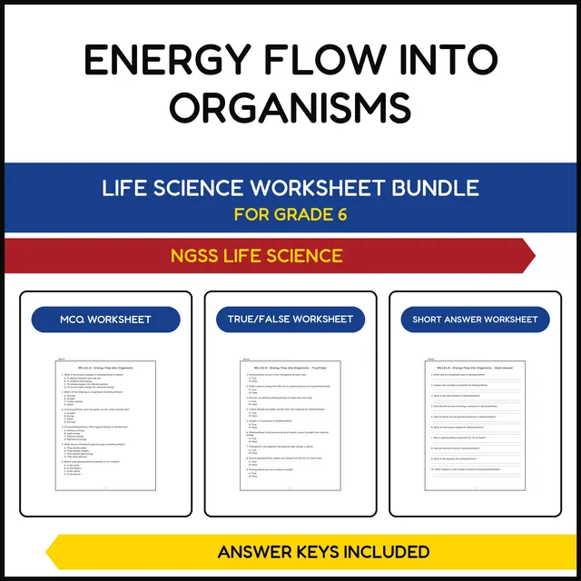 MS NGSS Life Science | Energy Flow Into Organisms | 3 Worksheets | Grade 6