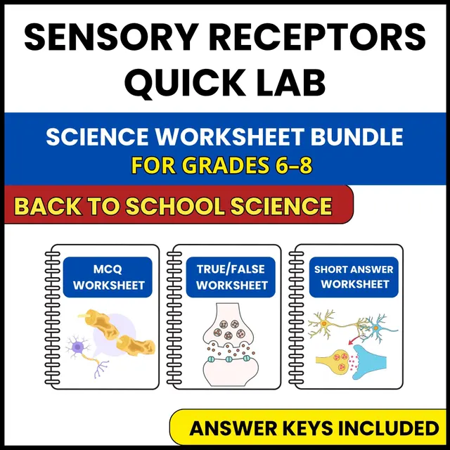 Back to School | Sensory Receptors Quick Lab | 3 Worksheets | Grade 6-8