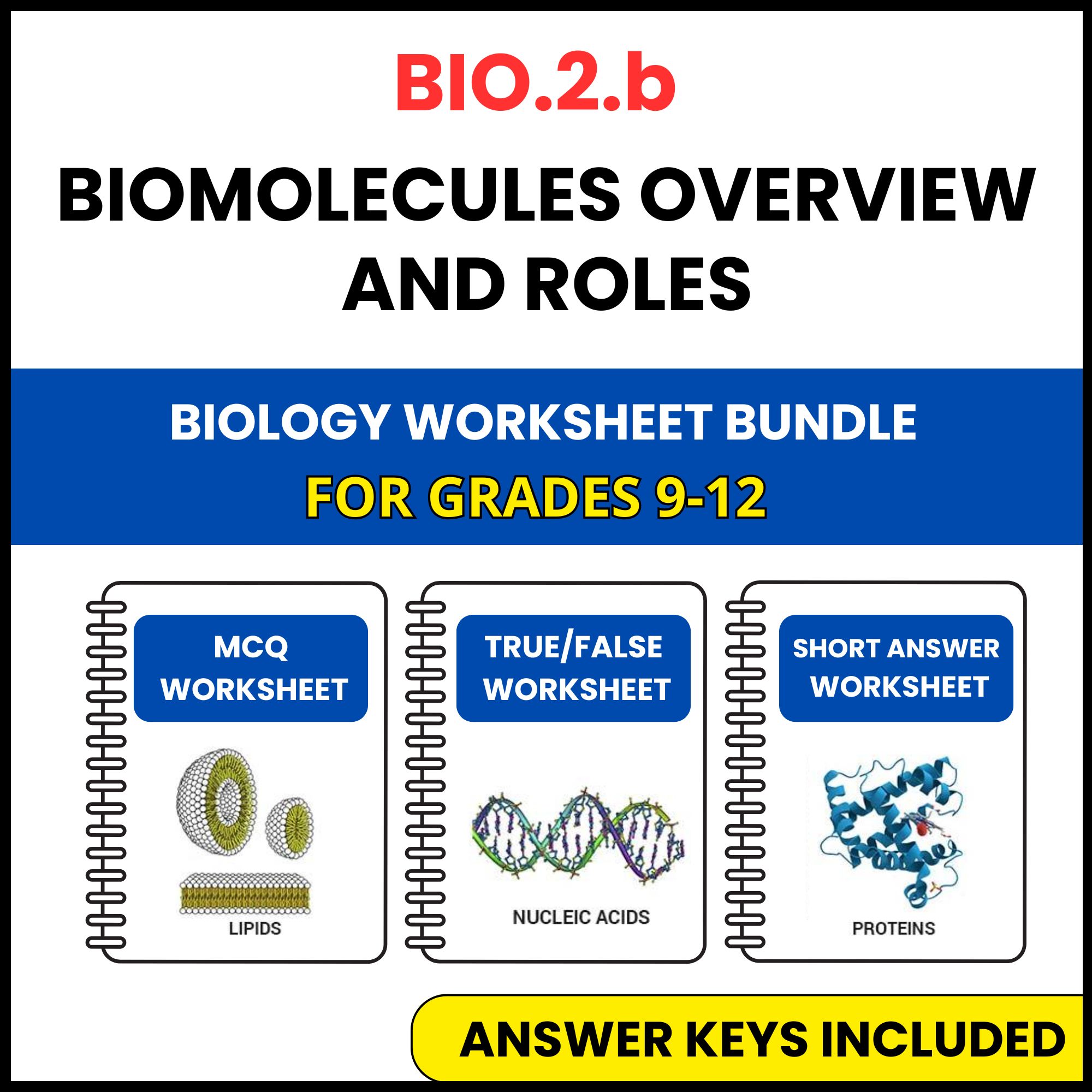 VA SOL Biology | Biomolecules overview and roles | 3 Worksheets | Grade 9-12