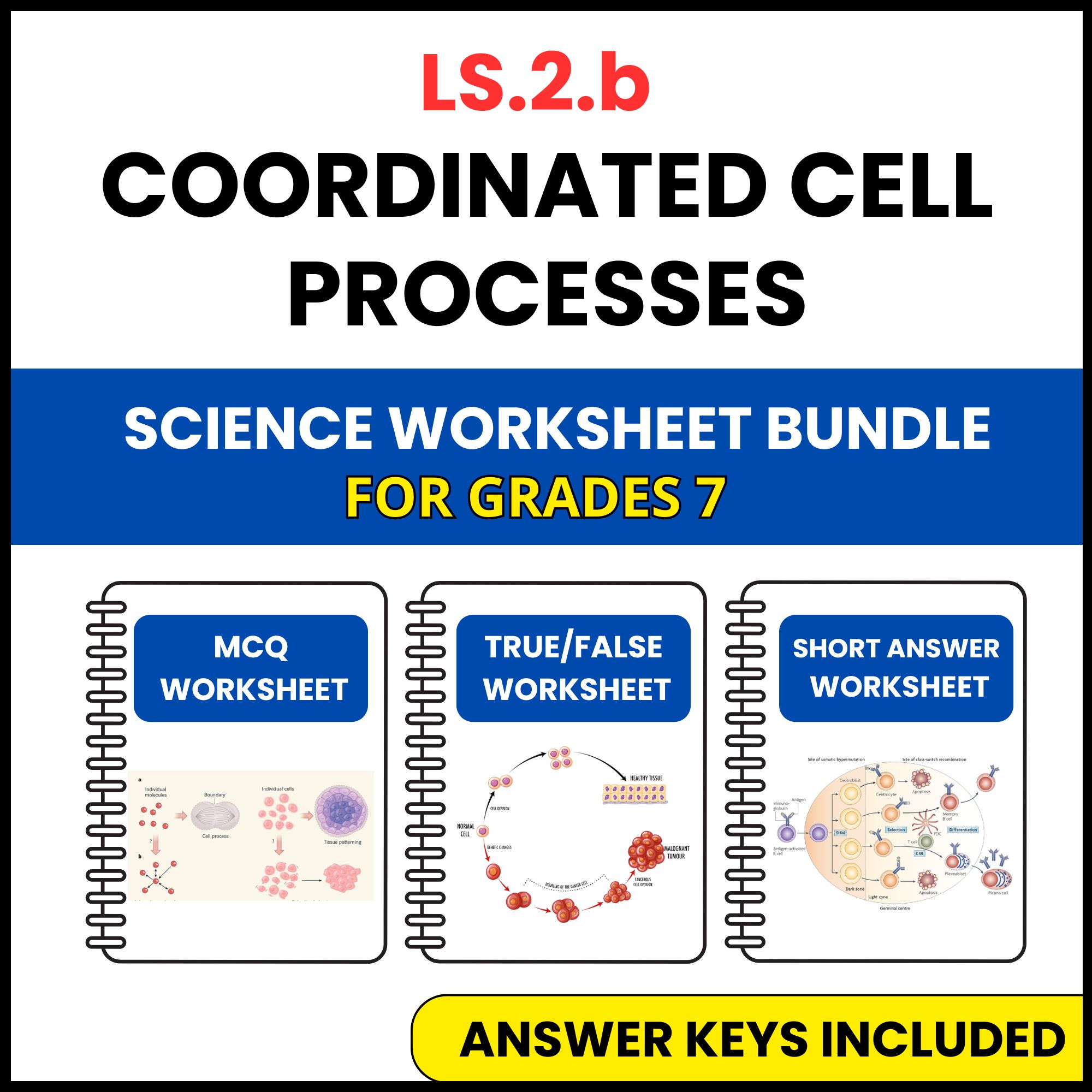 VA SOL Life Science | Coordinated Cell Processes | 3 Worksheets | Grade 7