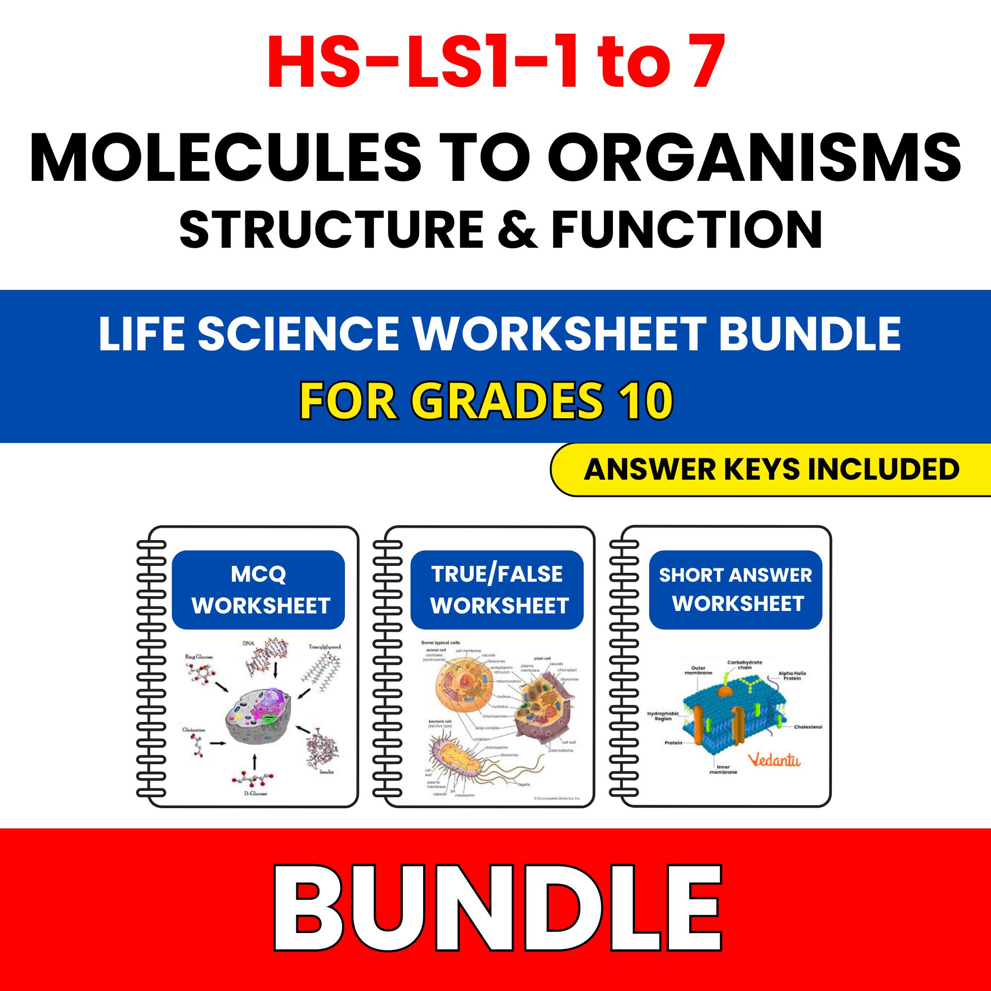 HS NGSS Life Science | Molecules to Organisms | 45 Worksheets BUNDLE | Grade 10