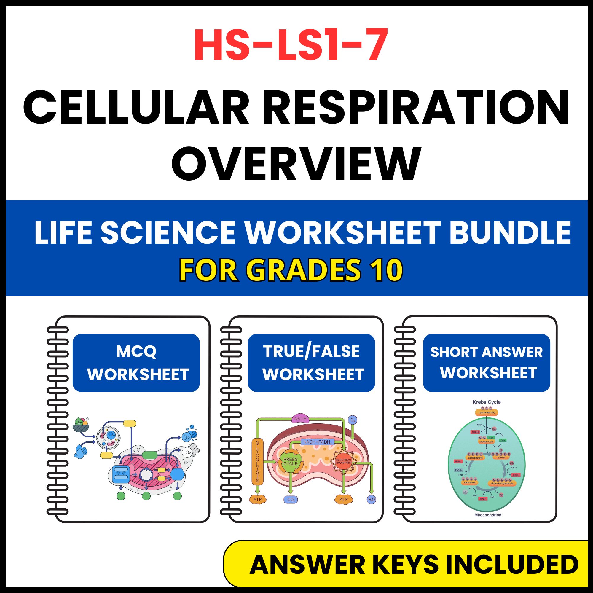 HS NGSS Life Science | Cellular Respiration Overview | 3 Worksheets | Grade 10