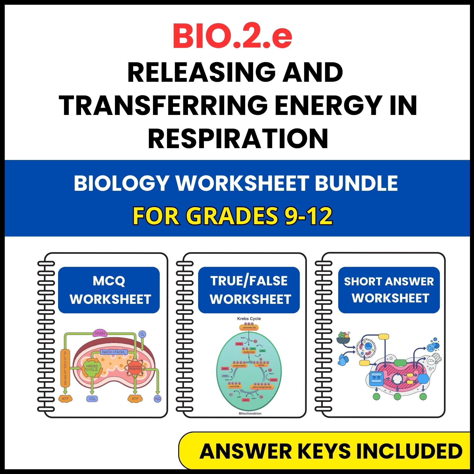 VA SOL Biology | Releasing and transferring energy | 3 Worksheets | Grade 9-12