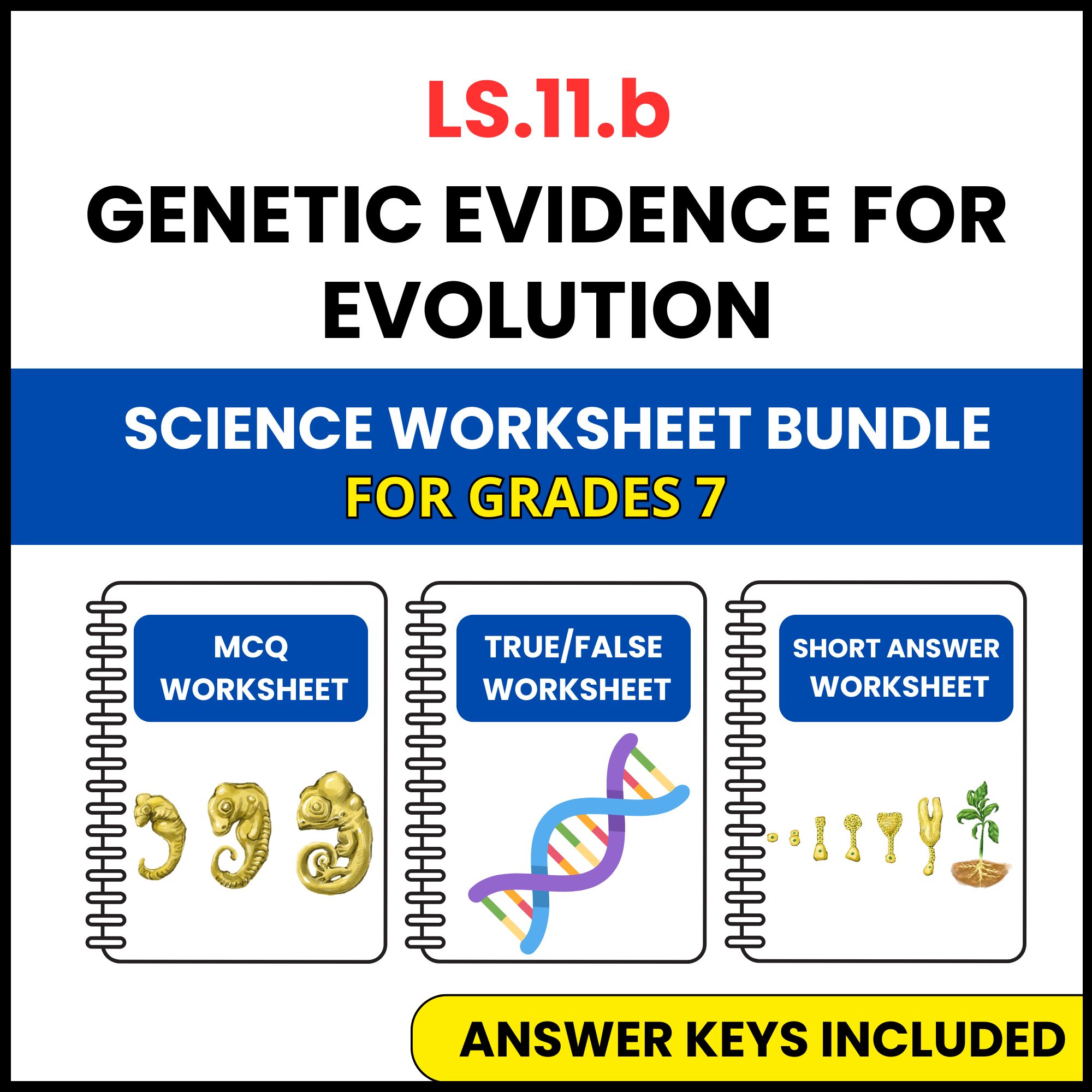 VA SOL Life Science | Genetic Evidence for Evolution | 3 Worksheets | Grade 7