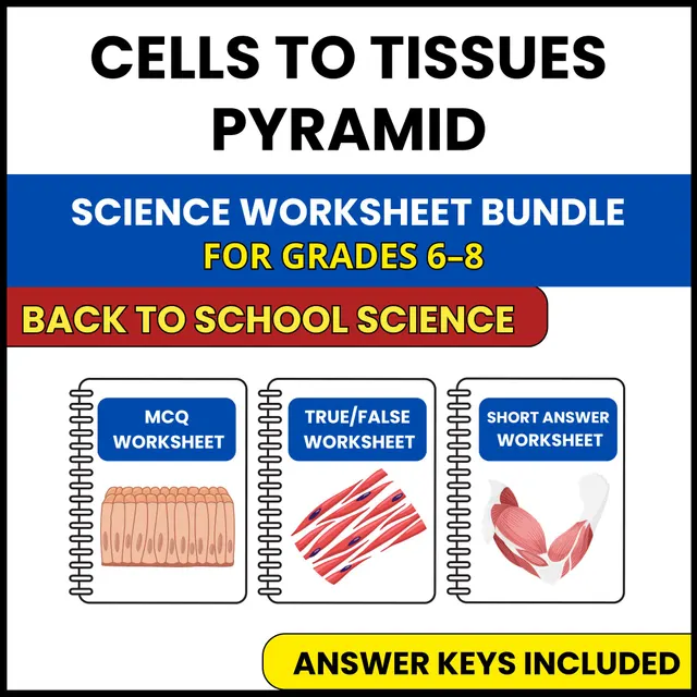 Back to School | Cells to Tissues Pyramid | 3 Worksheets | Grade 6-8