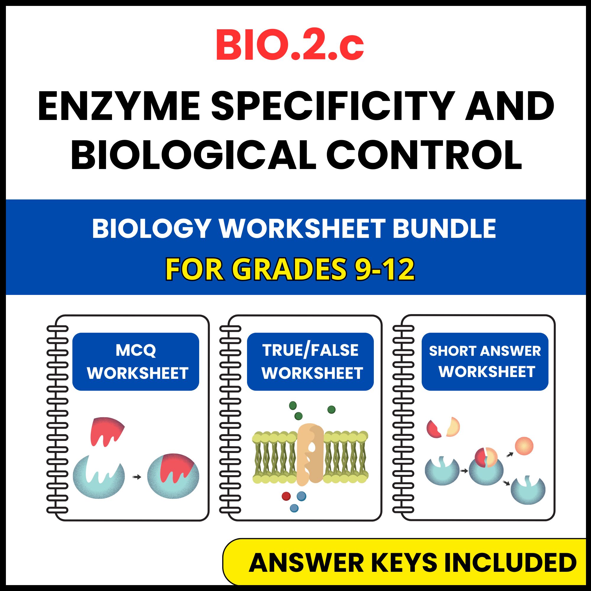 VA SOL Biology | Enzyme specificity and biological | 3 Worksheets | Grade 9-12