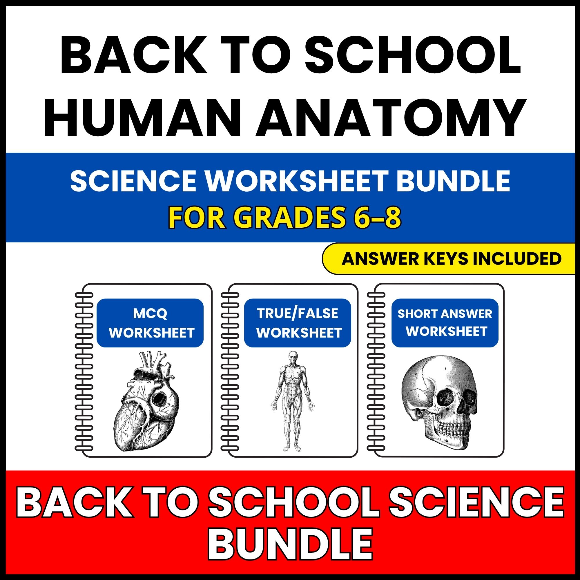 Back to School | Human Anatomy Mega Pack | 30 Worksheets BUNDLE | Grade 6-8