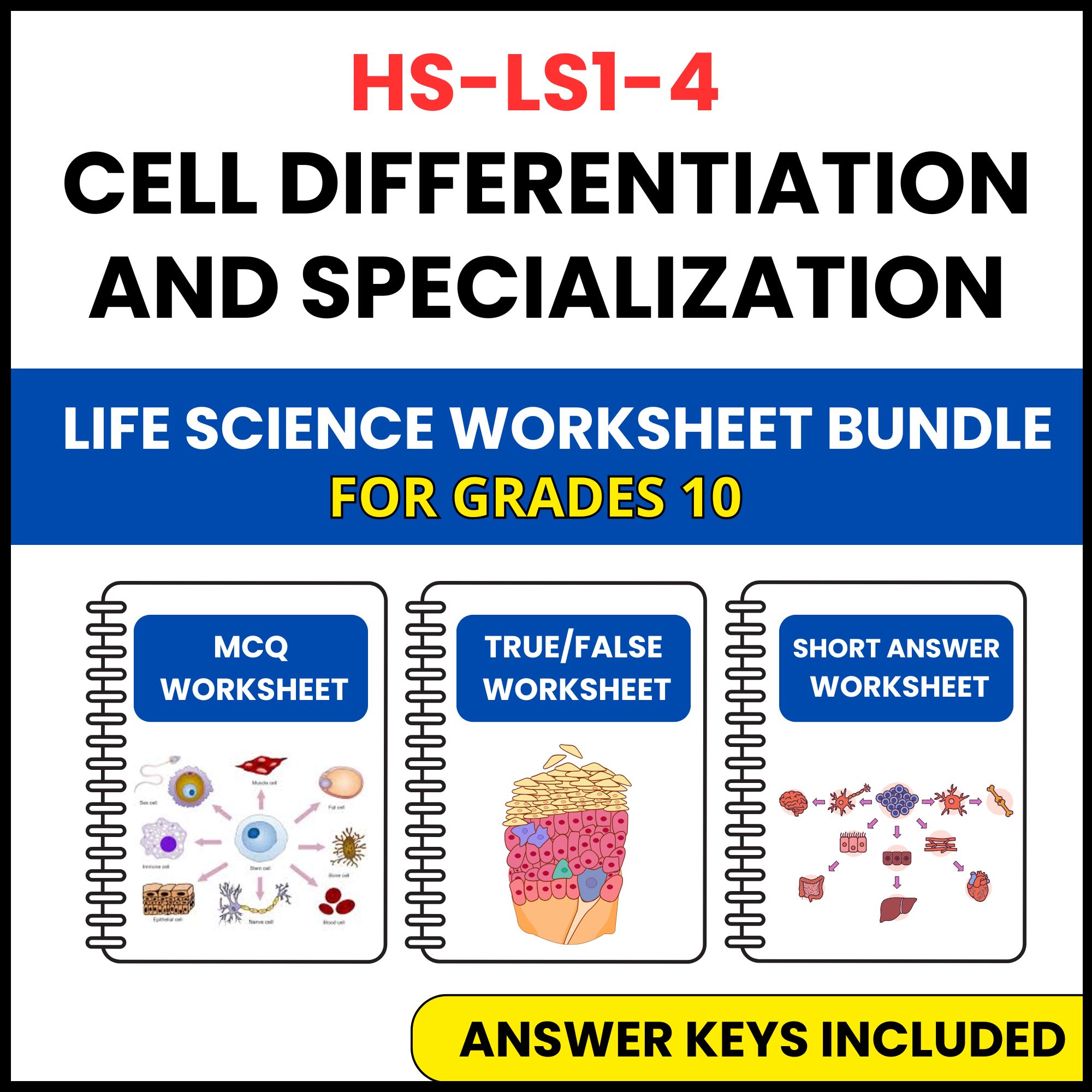 HS NGSS Life Science | Cell Differentiation | 3 Worksheets | Grade 10