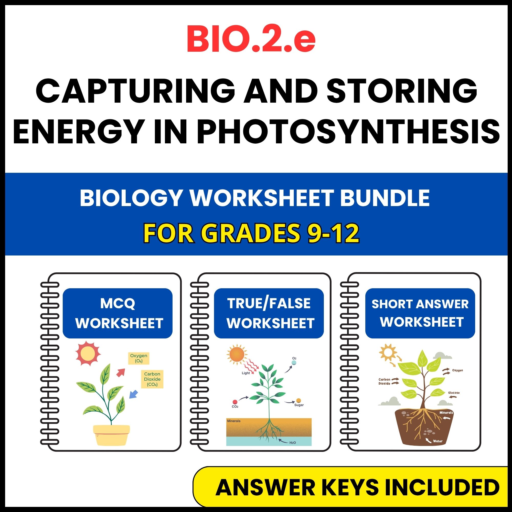 VA SOL Biology | Capturing and storing energy | 3 Worksheets | Grade 9-12
