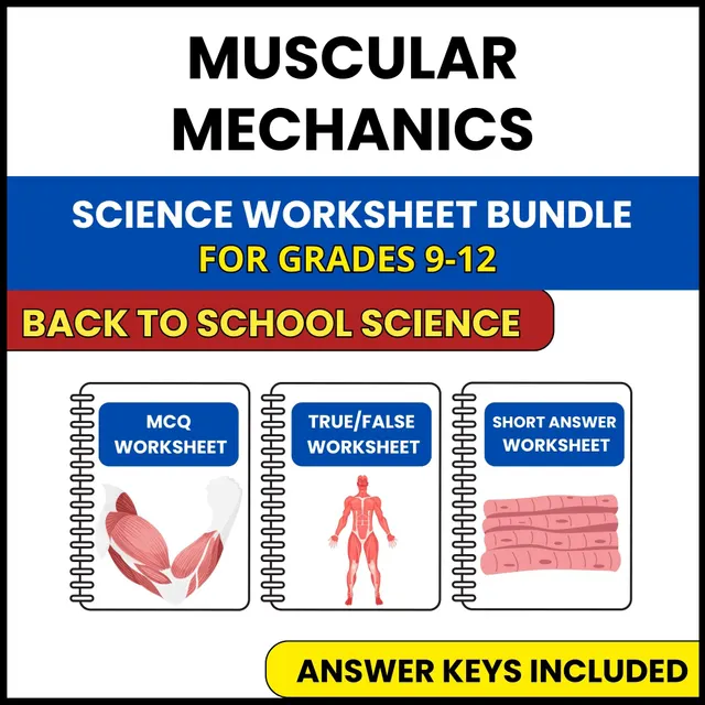 Back to School | Muscular Mechanics | 3 Worksheets | Grade 9-12
