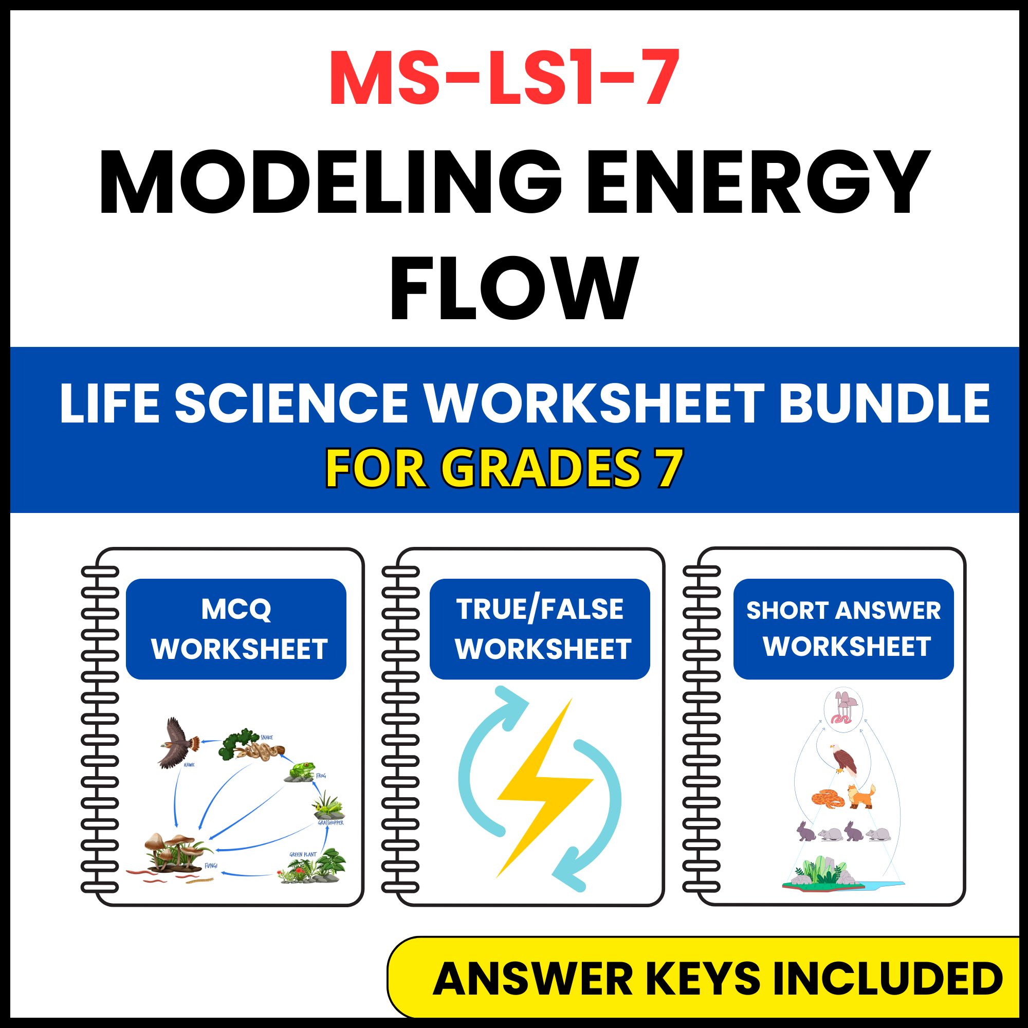 MS NGSS Life Science | Modeling Energy Flow | 3 Worksheets | Grade 7