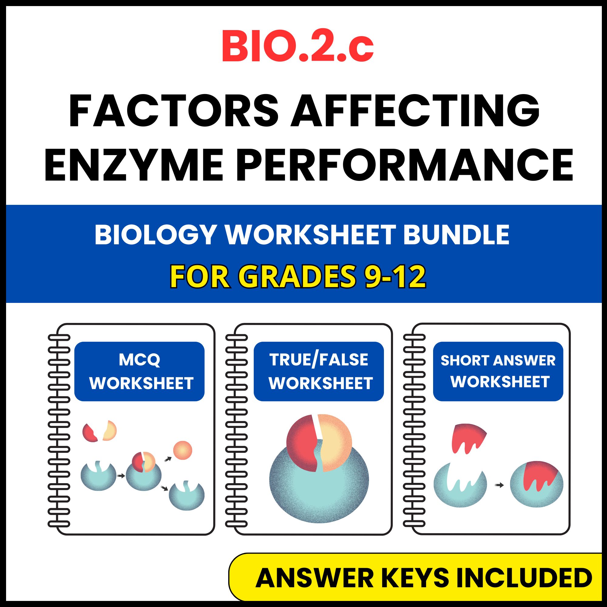 VA SOL Biology | Factors affecting enzyme | 3 Worksheets | Grade 9-12