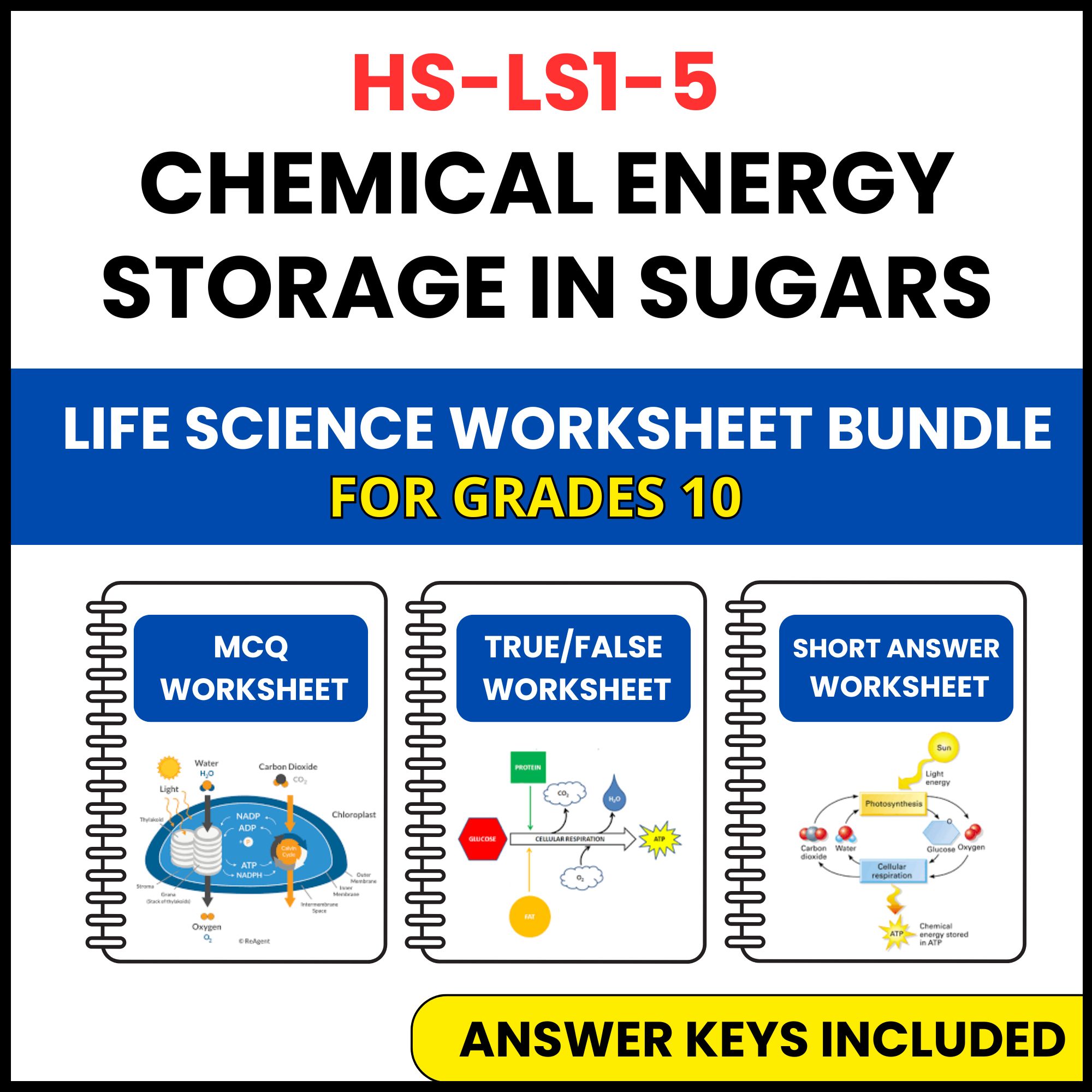 HS NGSS Life Science | Chemical Energy Storage | 3 Worksheets | Grade 10