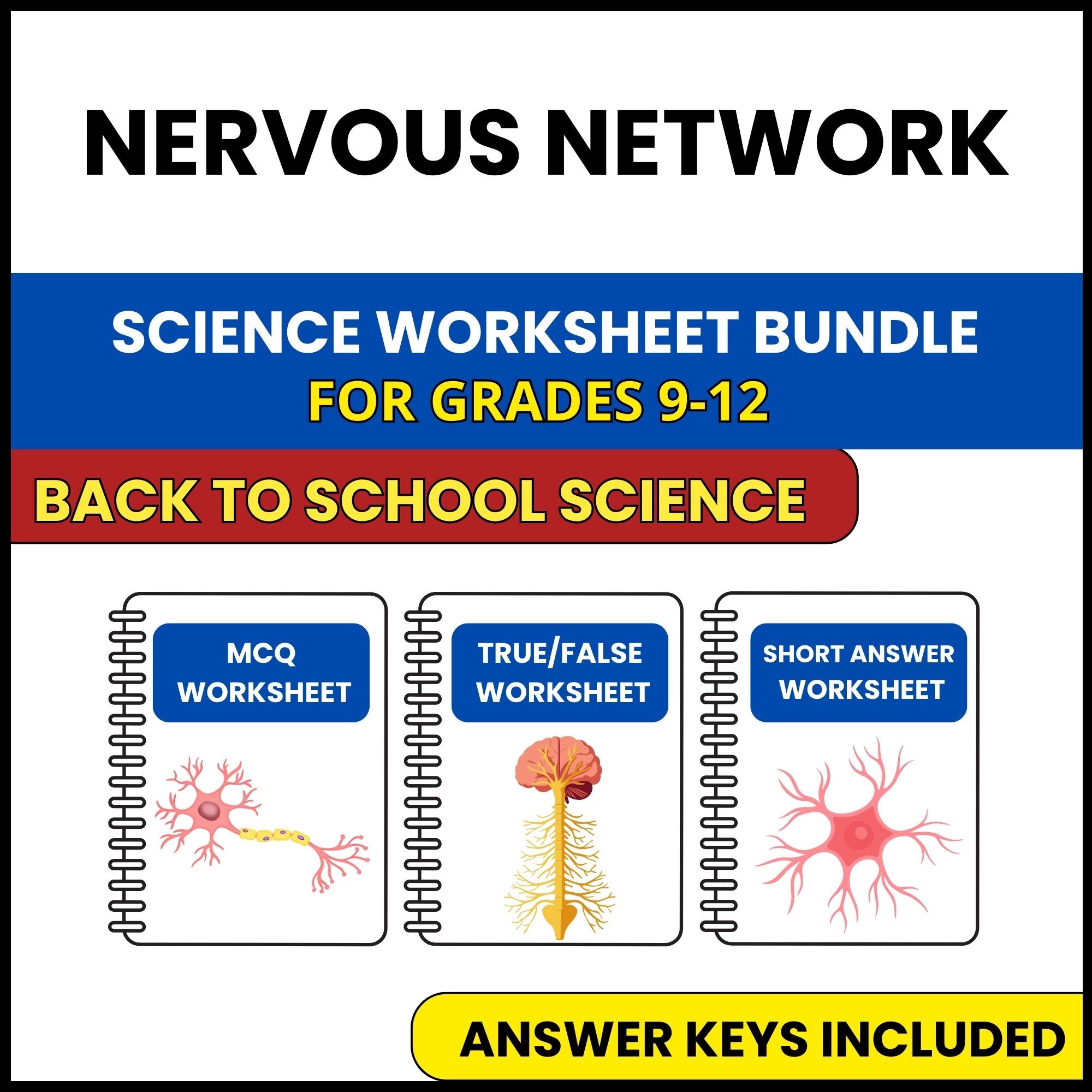 Back to School | Nervous Network | 3 Worksheets | Grade 9-12