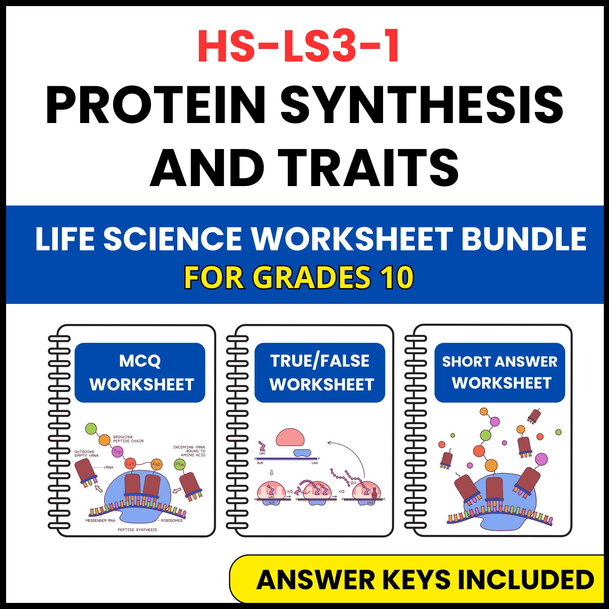 HS NGSS Life Science | Protein Synthesis and Traits | 3 Worksheets | Grade 10