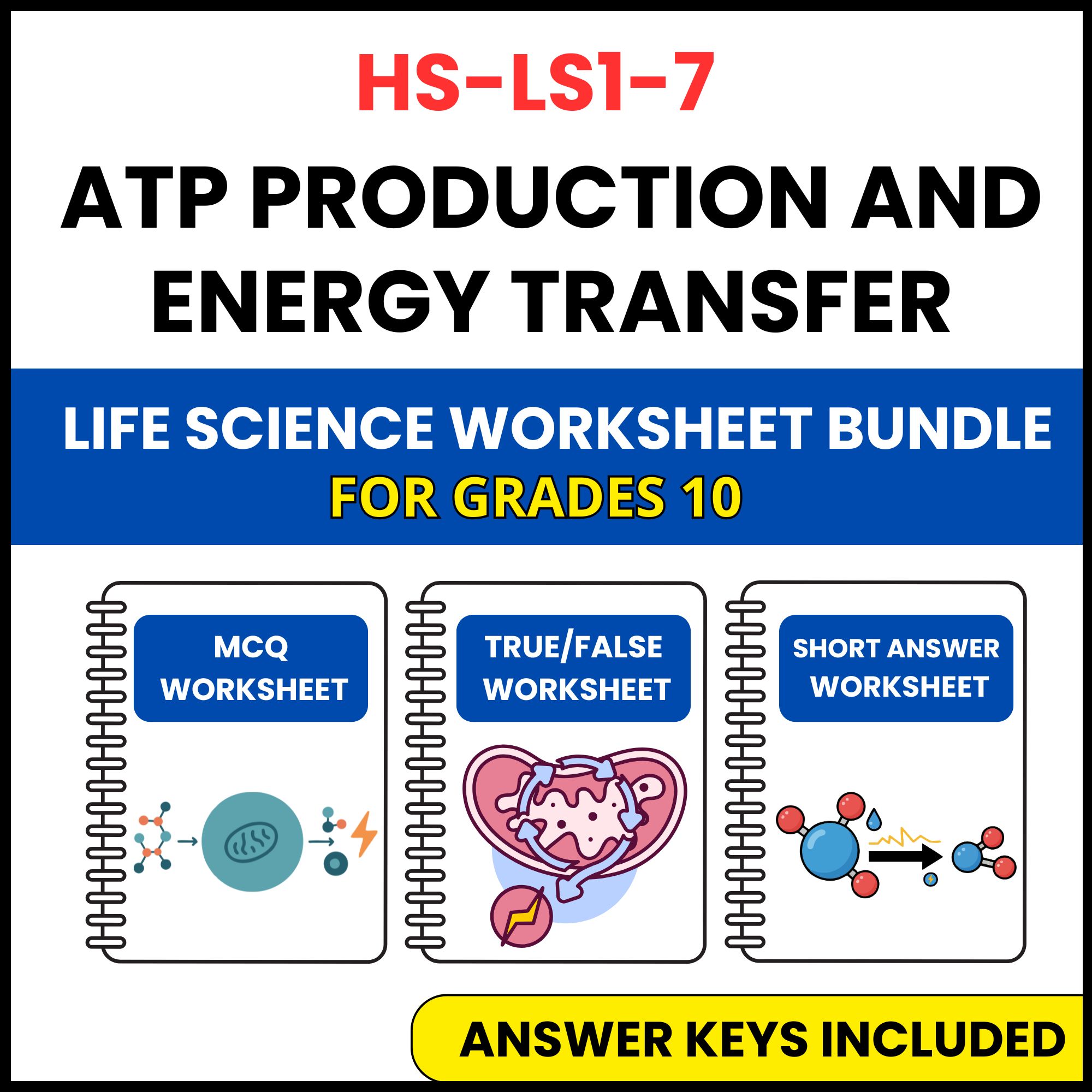 HS NGSS Life Science | ATP Production and Energy | 3 Worksheets | Grade 10