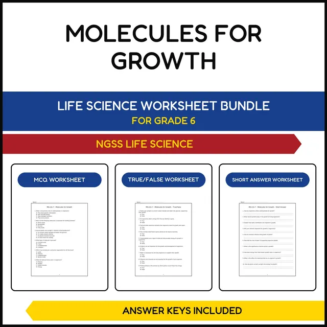 MS NGSS Life Science | Molecules for Growth | 3 Worksheets | Grade 6