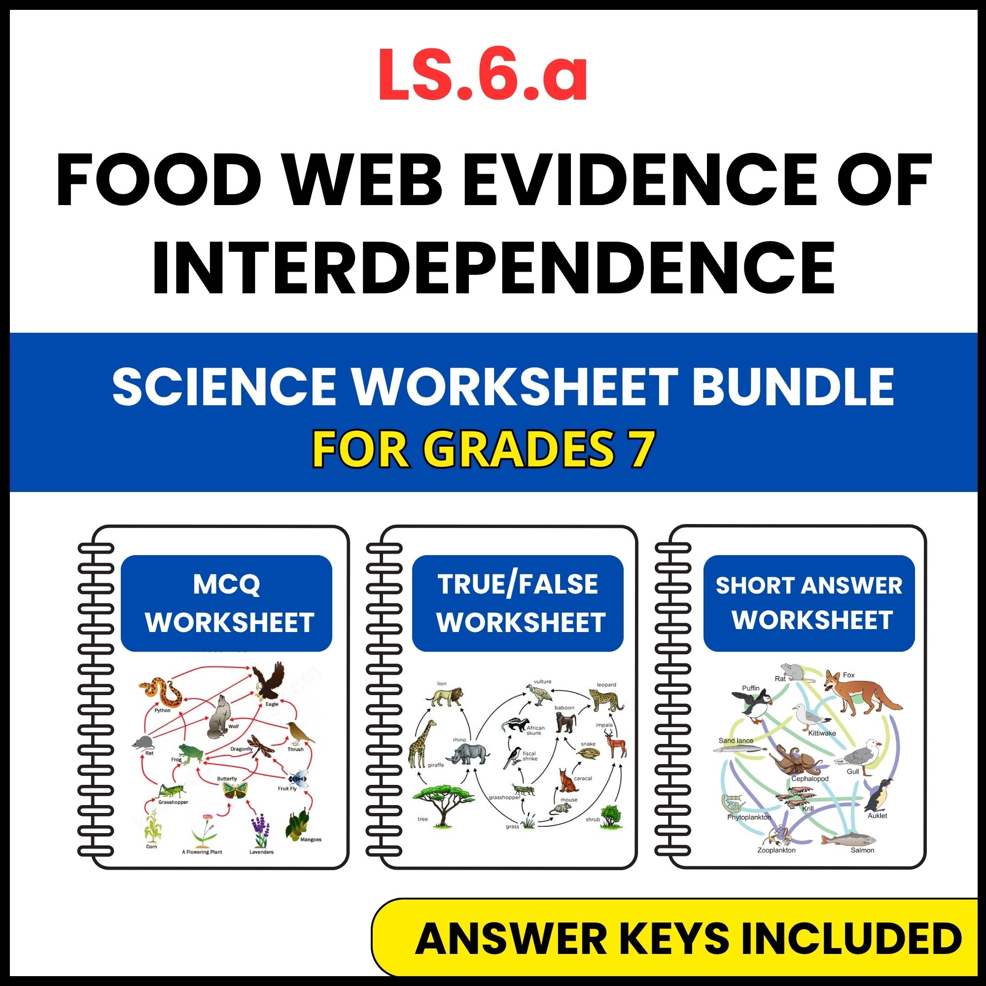 VA SOL Life Science | Food Web Evidence | 3 Worksheets | Grade 7