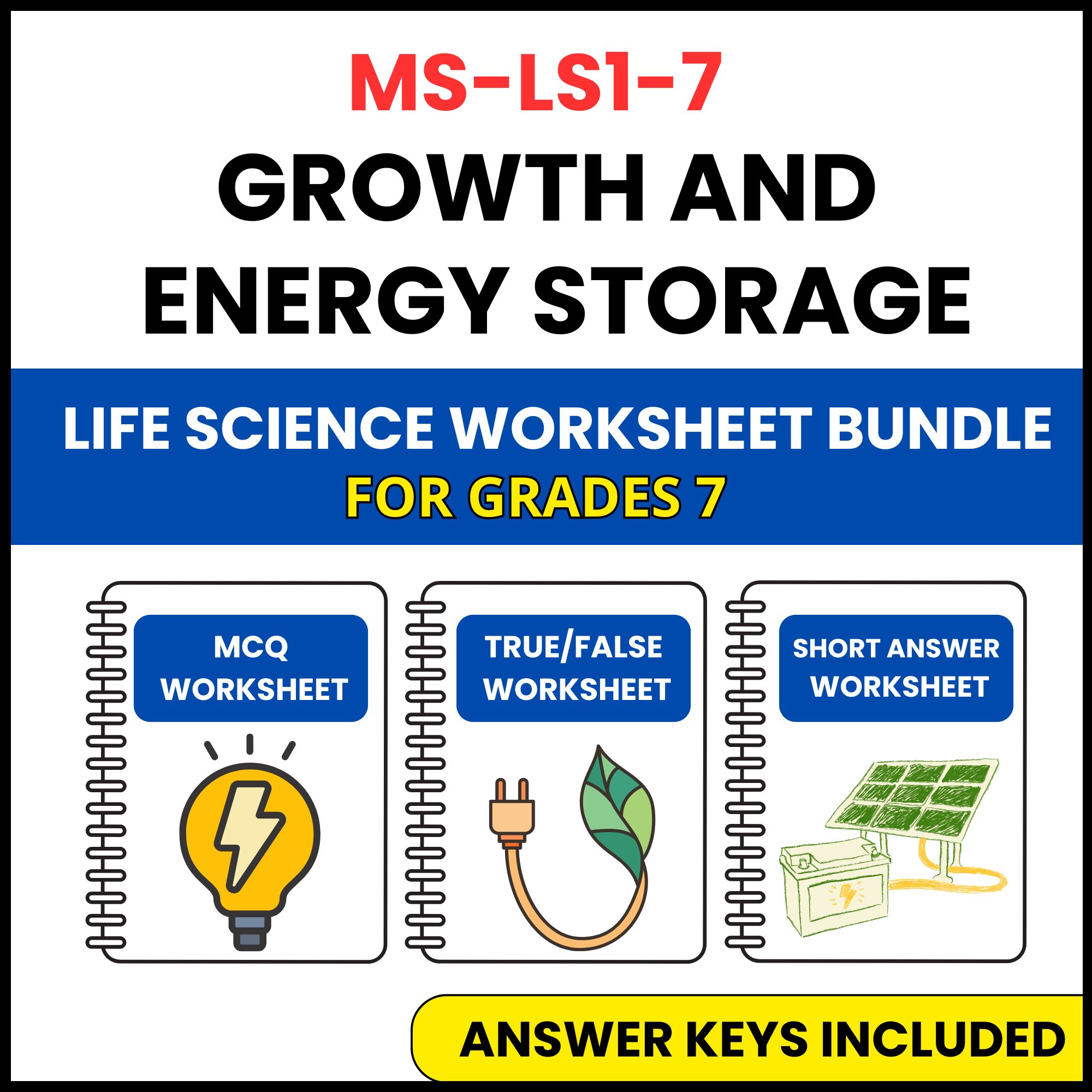 MS NGSS Life Science | Growth and Energy Storage | 3 Worksheets | Grade 7