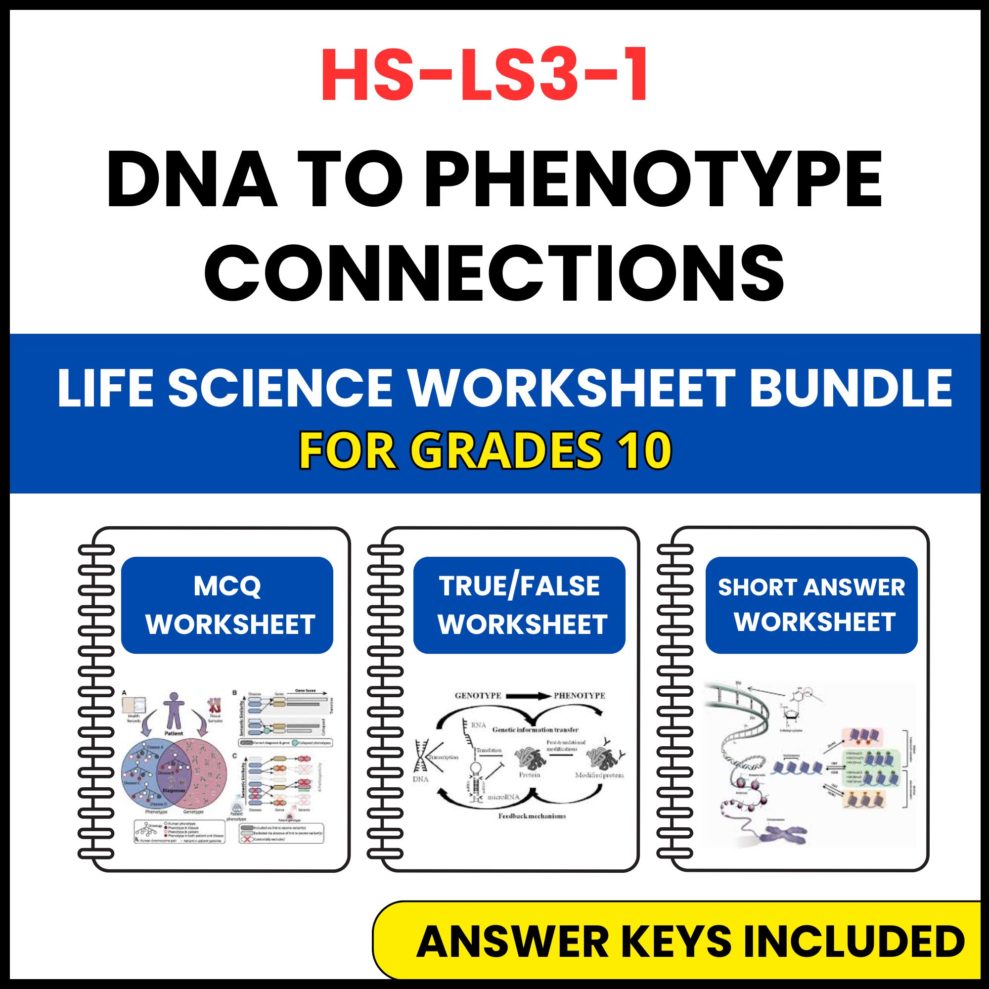 HS NGSS Life Science | DNA to Phenotype Connections | 3 Worksheets | Grade 10