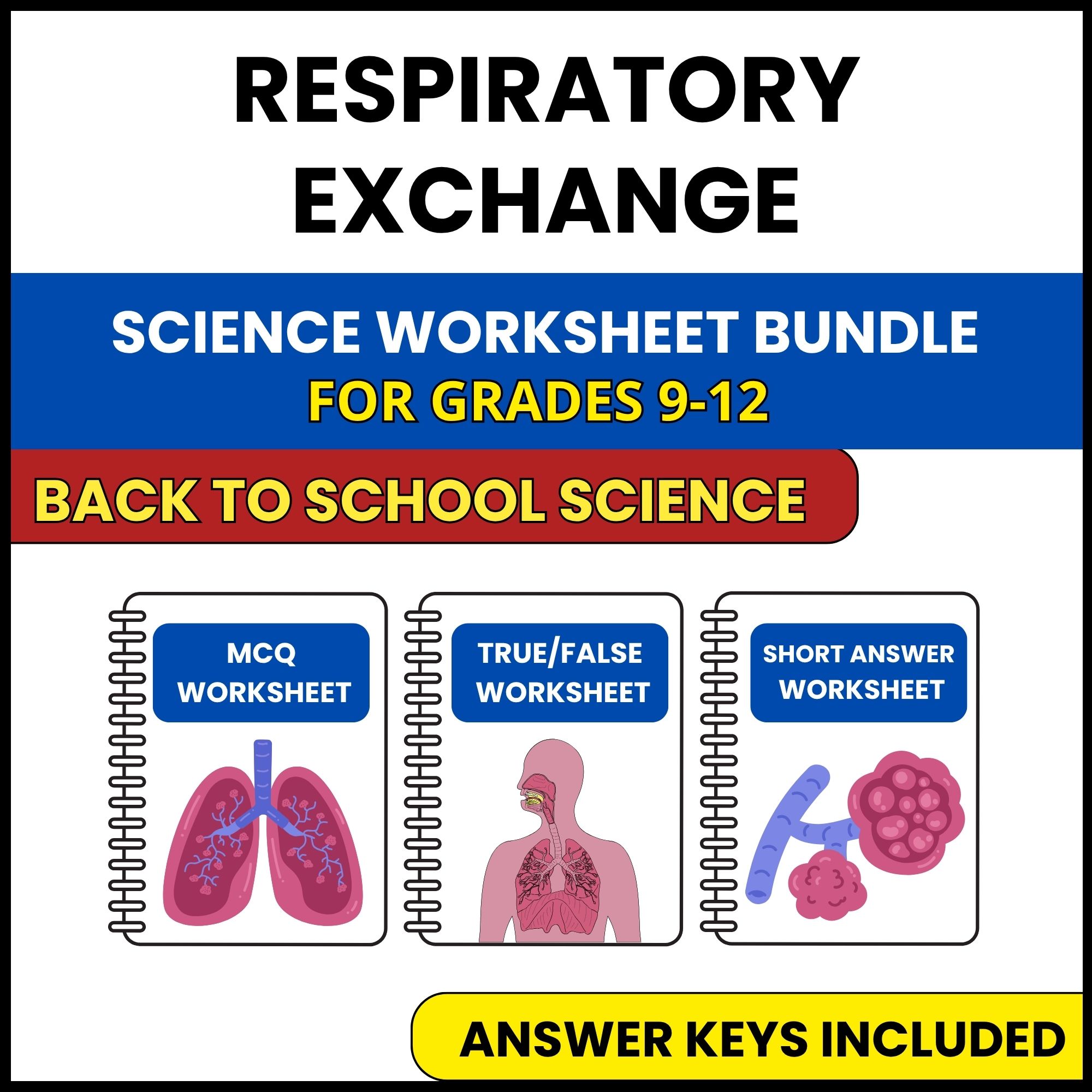 Back to School | Respiratory Exchange | 3 Worksheets | Grade 9-12