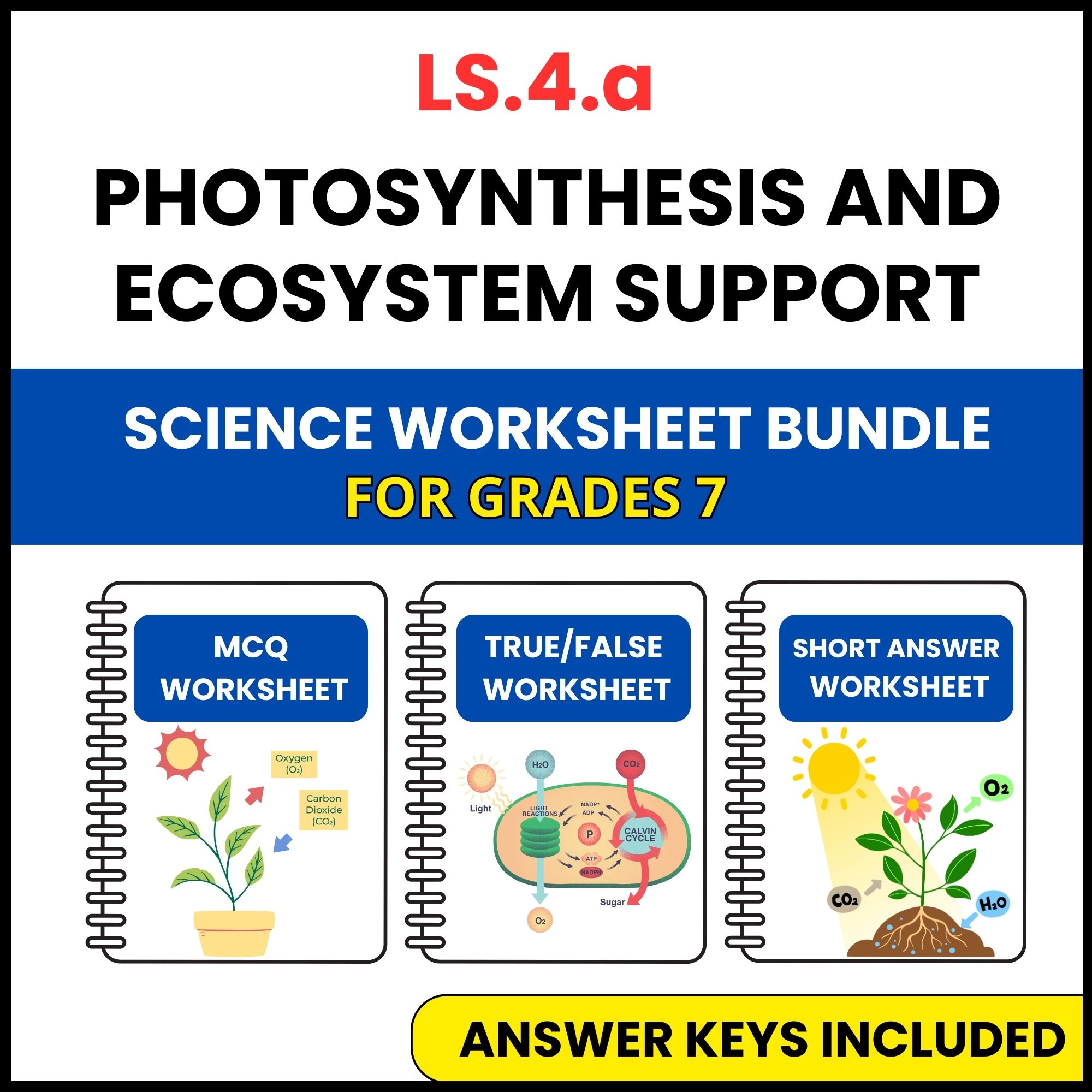 VA SOL Life Science | Photosynthesis and Ecosystem | 3 Worksheets | Grade 7