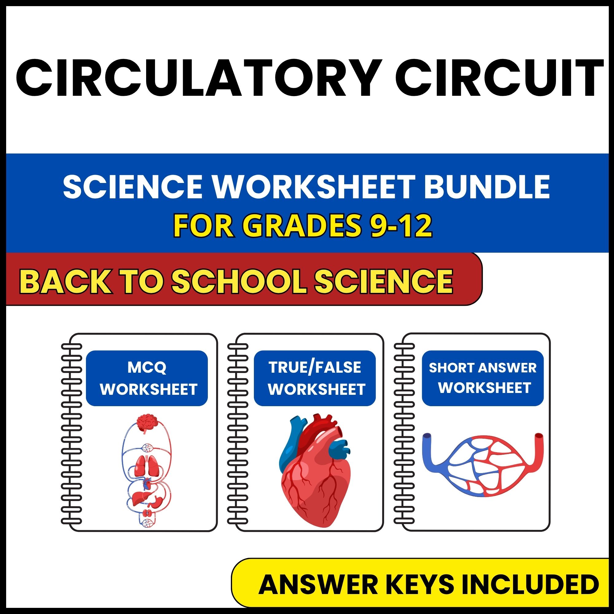 Back to School | Circulatory Circuit | 3 Worksheets | Grade 9-12