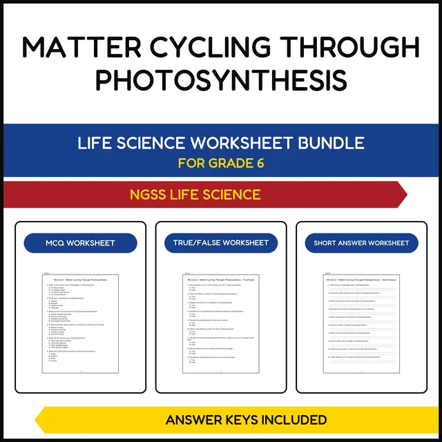 MS NGSS Life Science | Matter Cycling Through | 3 Worksheets | Grade 6