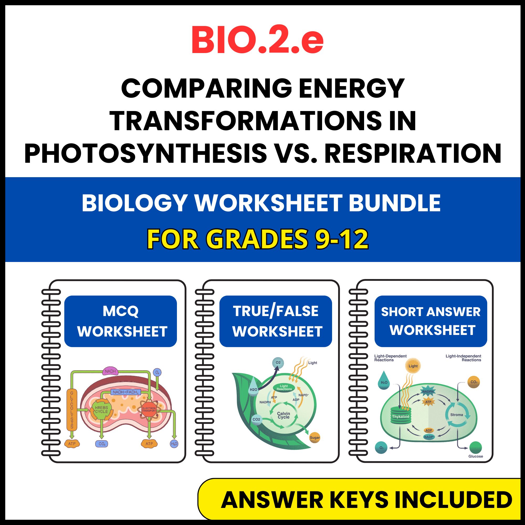 VA SOL Biology | energy transformations | 3 Worksheets | Grade 9-12