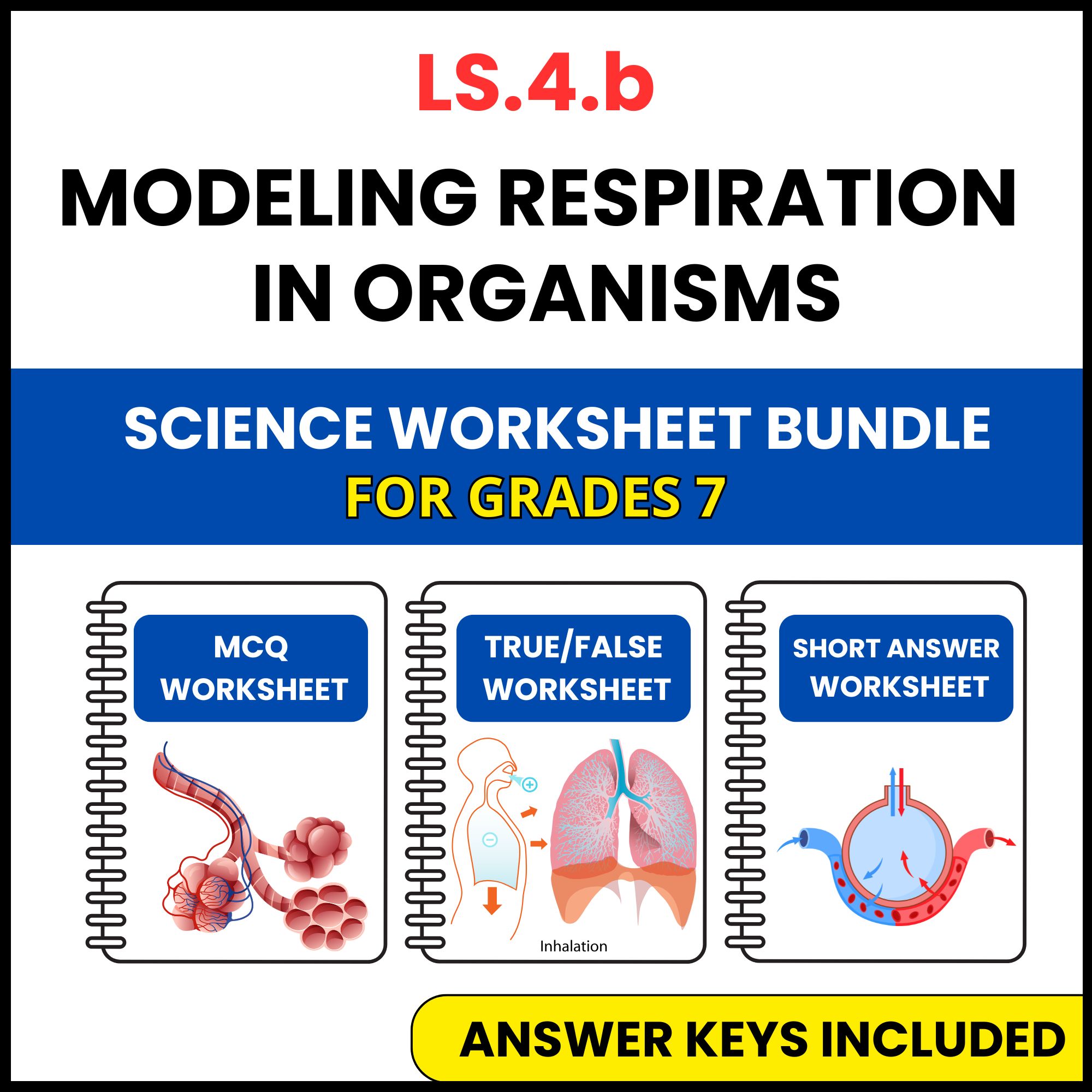 VA SOL Life Science | Modeling Respiration in Organisms | 3 Worksheets | Grade 7