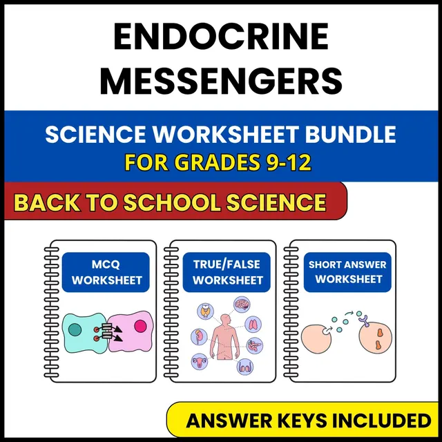 Back to School | Endocrine Messengers | 3 Worksheets | Grade 9-12