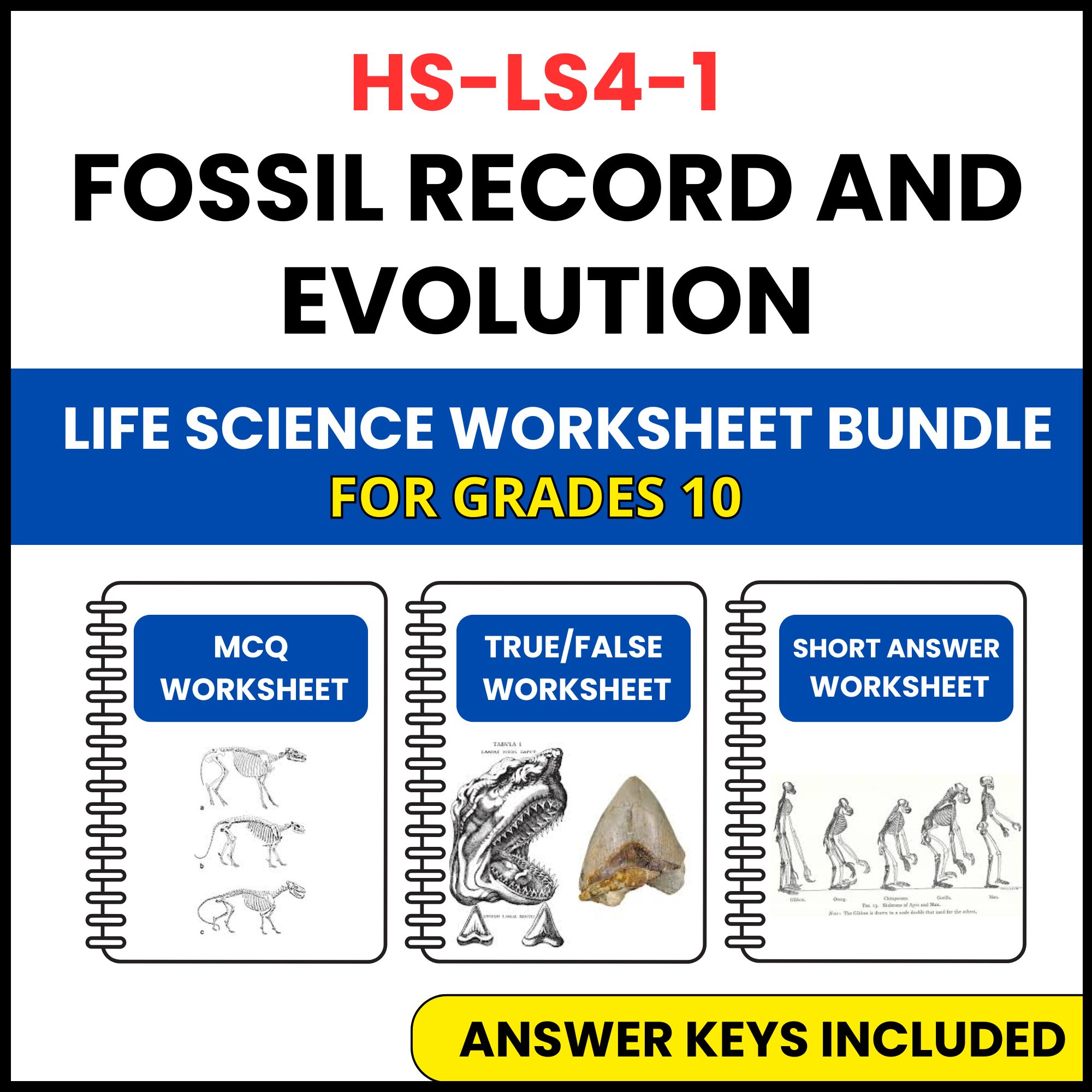 HS NGSS Life Science | Fossil Record and Evolution | 3 Worksheets | Grade 10