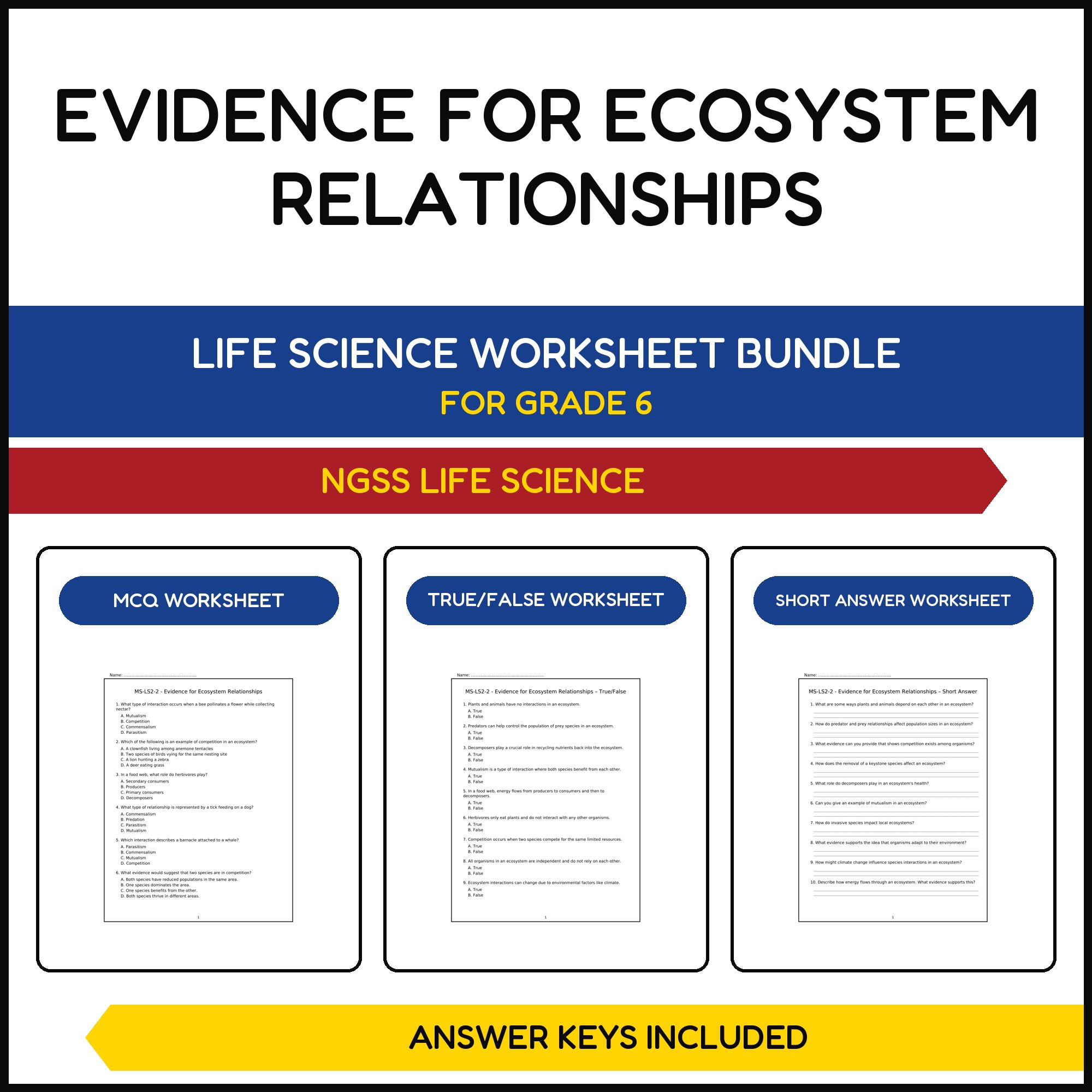MS NGSS Life Science | Evidence for Ecosystem | 3 Worksheets | Grade 6