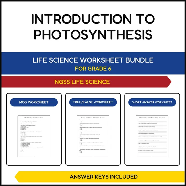 MS NGSS Life Science | Introduction to Photosynthesis | 3 Worksheets | Grade 6