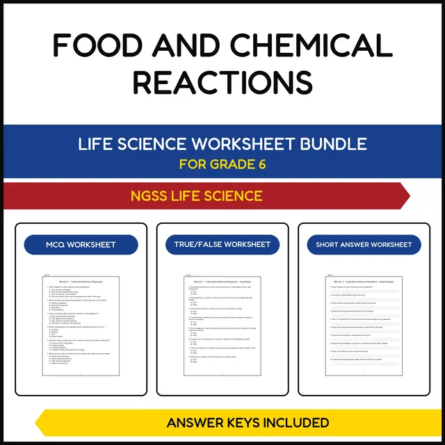 MS NGSS Life Science | Food and Chemical Reactions | 3 Worksheets | Grade 6