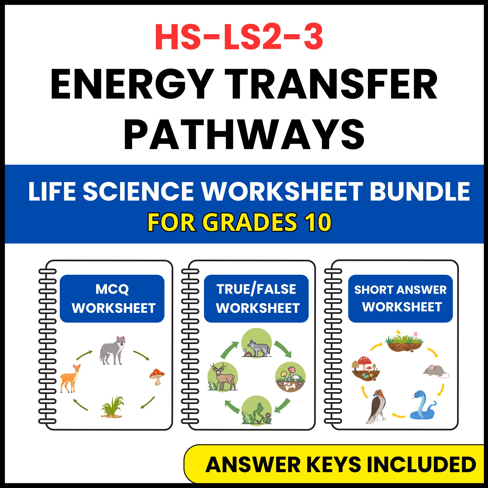 HS NGSS Life Science | Energy Transfer Pathways | 3 Worksheets | Grade 10