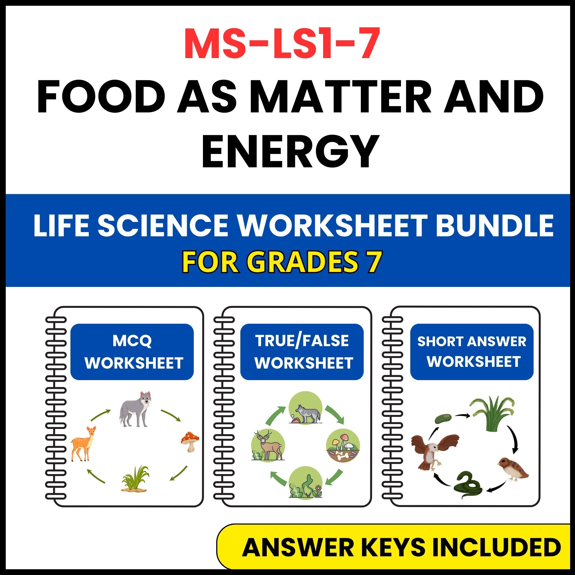 MS NGSS Life Science | Food as Matter and Energy | 3 Worksheets | Grade 7