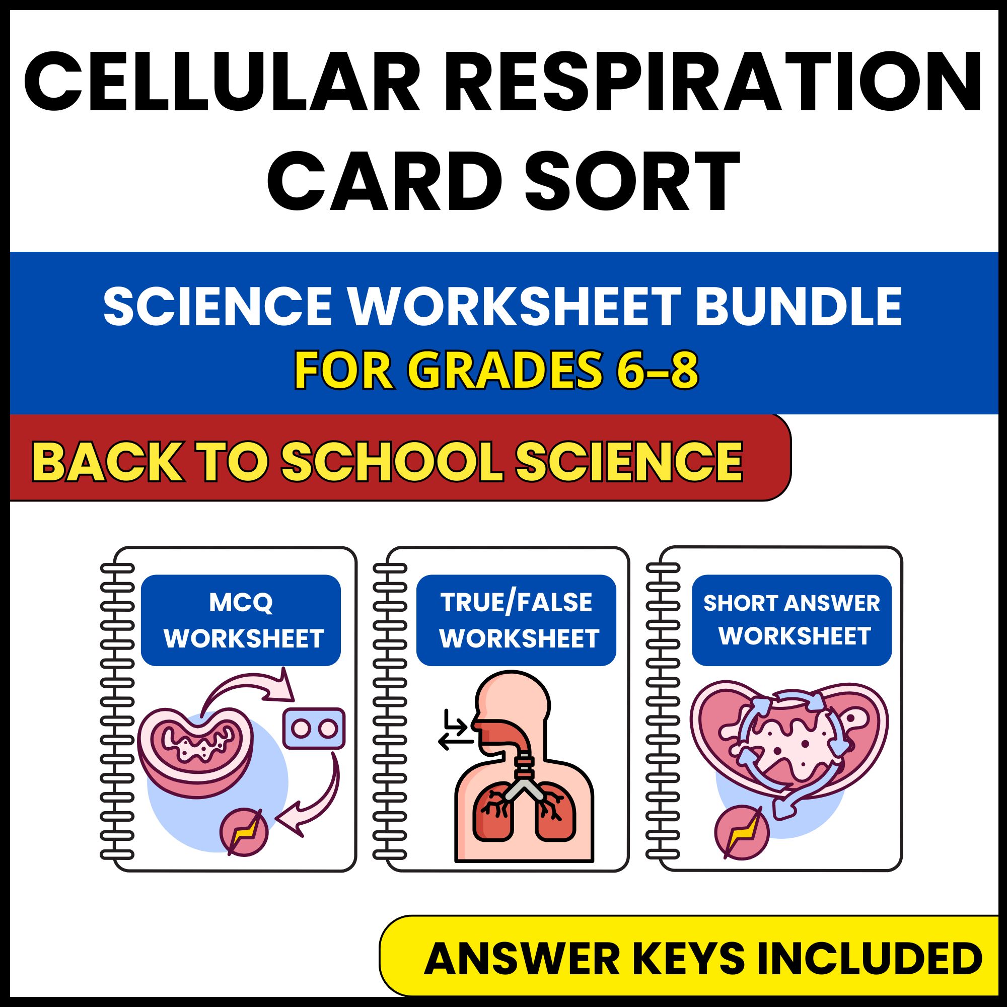 Back to School | Cellular Respiration Card Sort | 3 Worksheets | Grade 6-8