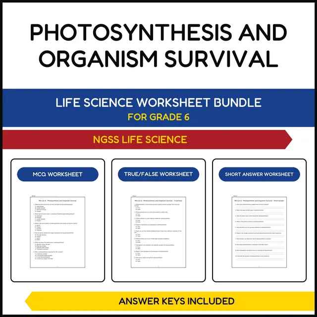 MS NGSS Life Science | Photosynthesis and Organism | 3 Worksheets | Grade 6