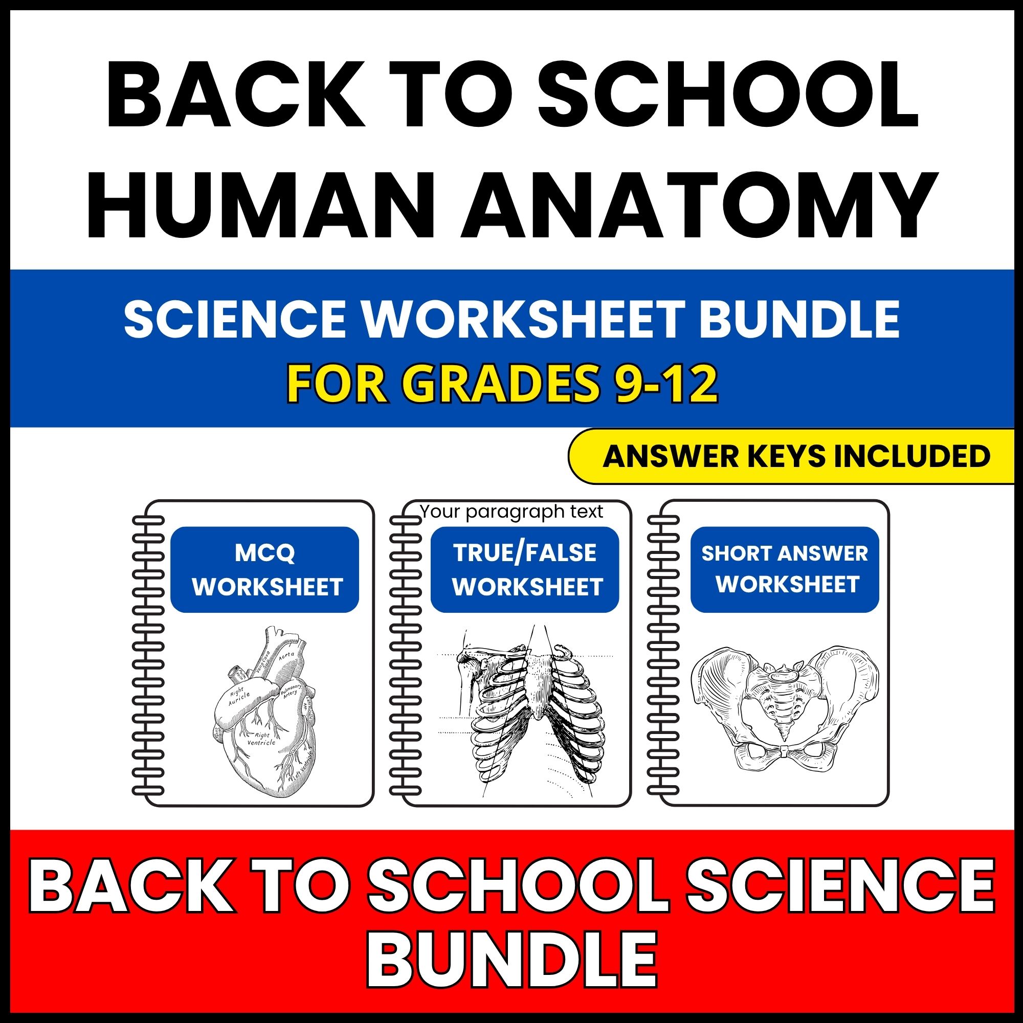 Back to School | Human Anatomy System Bundle | 30 Worksheets BUNDLE | Grade 9-12