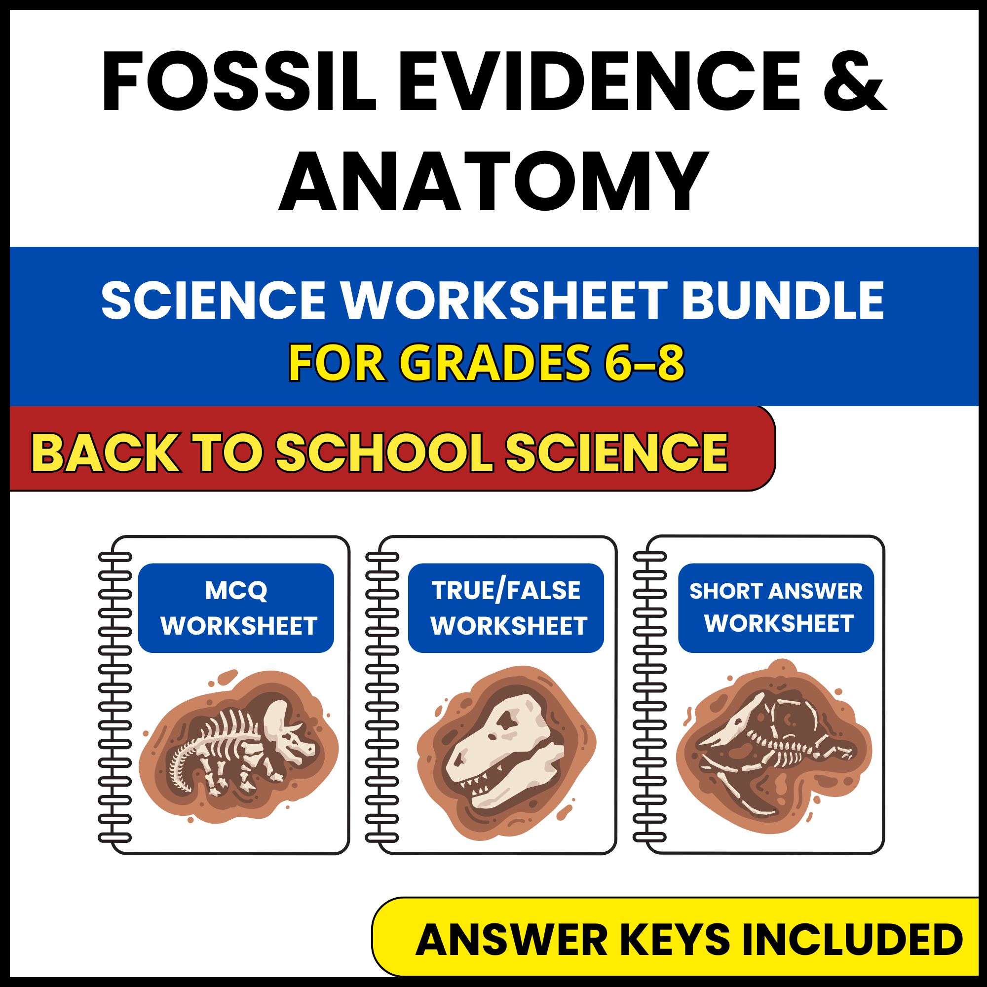 Back to School | Fossil Evidence and Anatomy | 3 Worksheets | Grade 6-8
