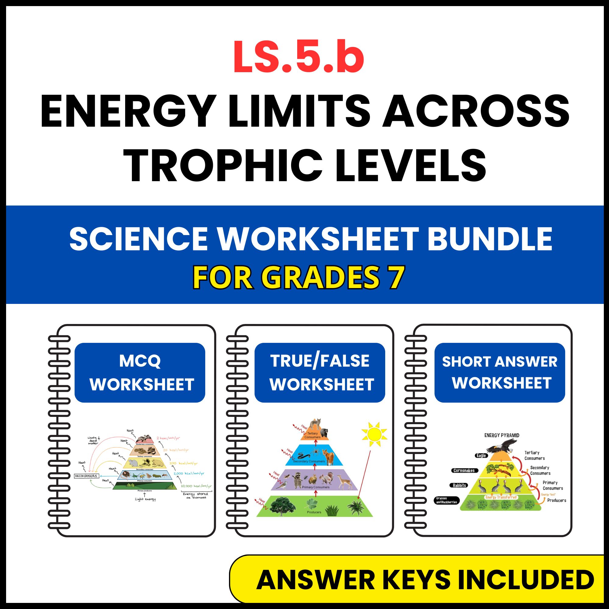 VA SOL Life Science | Energy Limits Across Trophic | 3 Worksheets | Grade 7