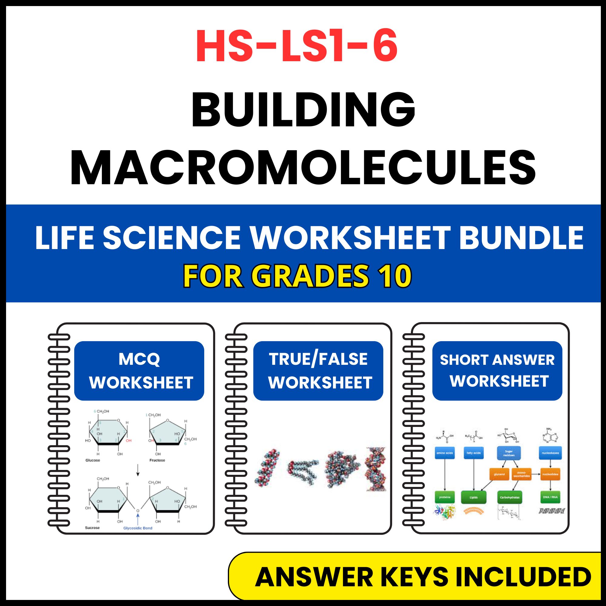 HS NGSS Life Science | Building Macromolecules | 3 Worksheets | Grade 10