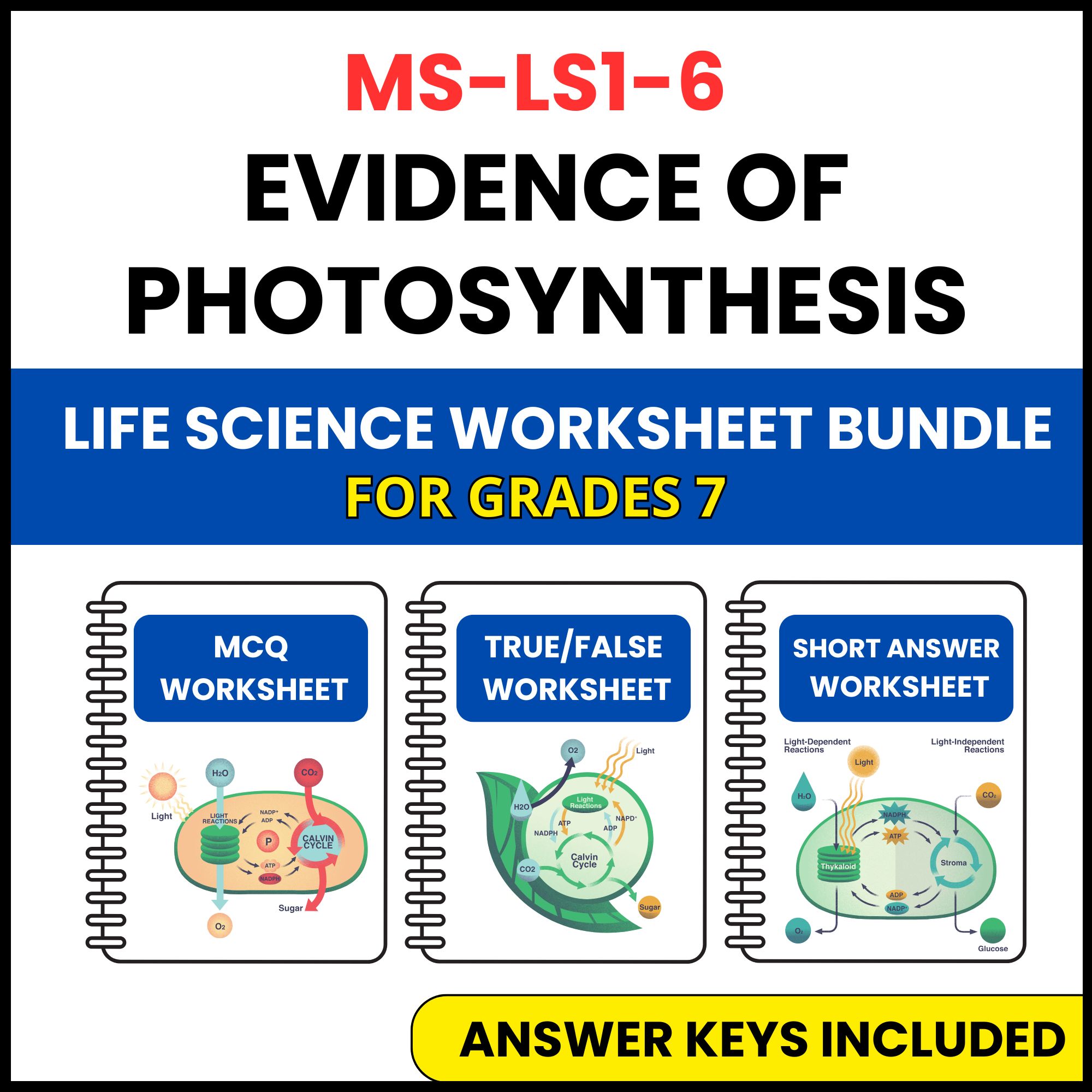 MS NGSS Life Science | Evidence of Photosynthesis | 3 Worksheets | Grade 7
