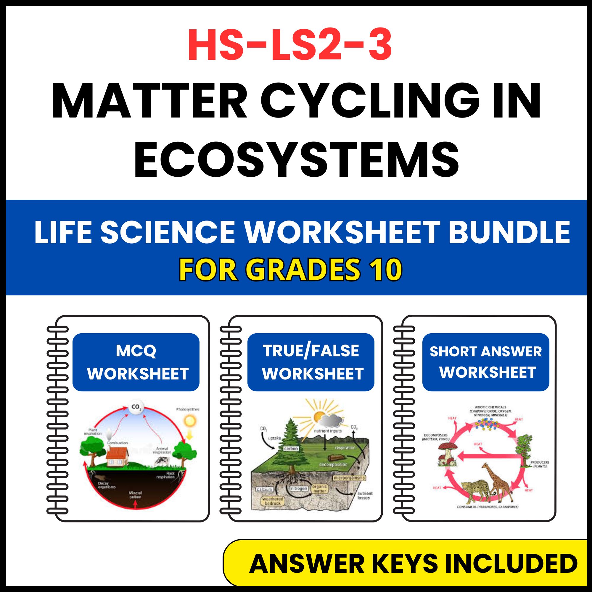 HS NGSS Life Science | Matter Cycling in Ecosystems | 3 Worksheets | Grade 10