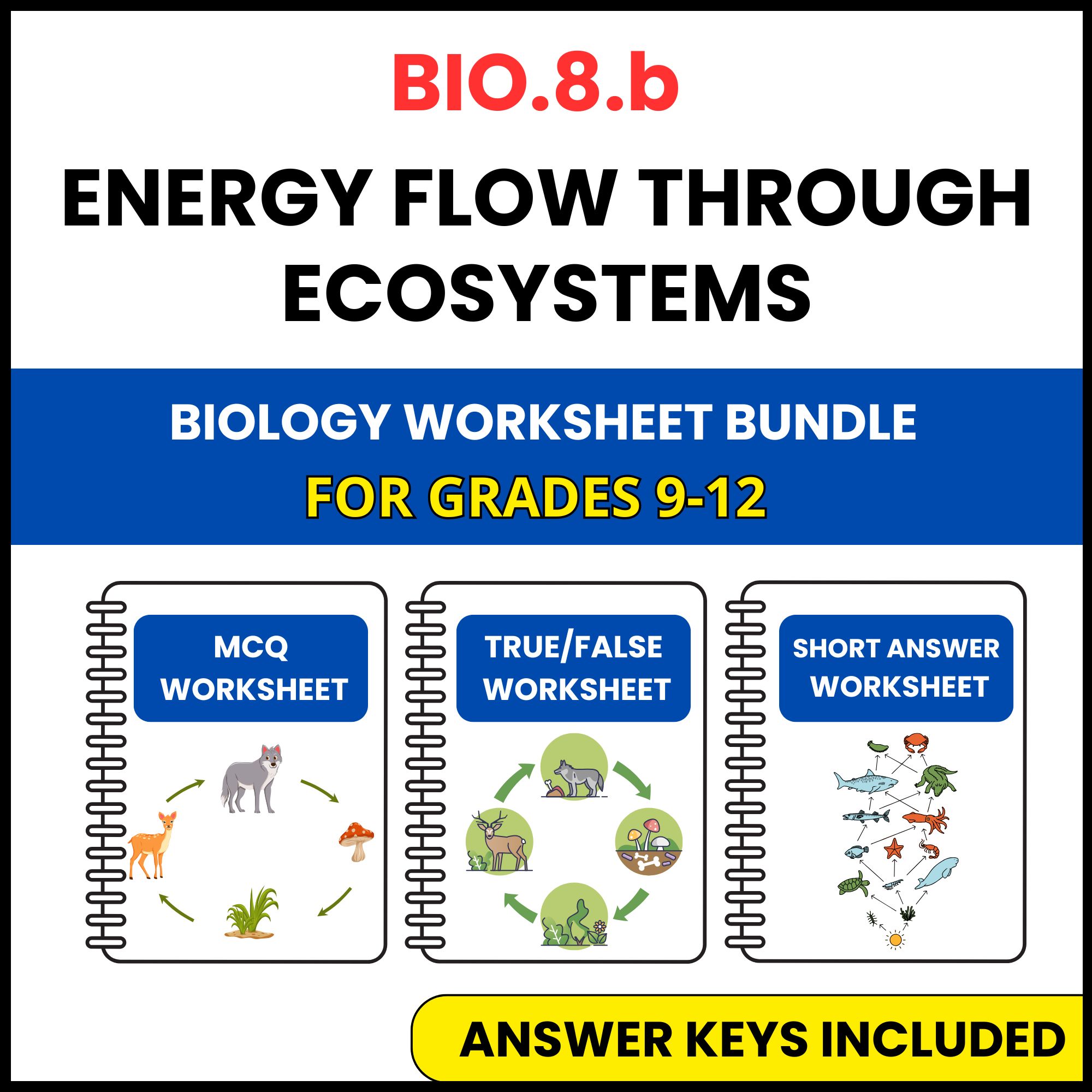 VA SOL Biology | Energy flow through ecosystems | 3 Worksheets | Grade 9-12