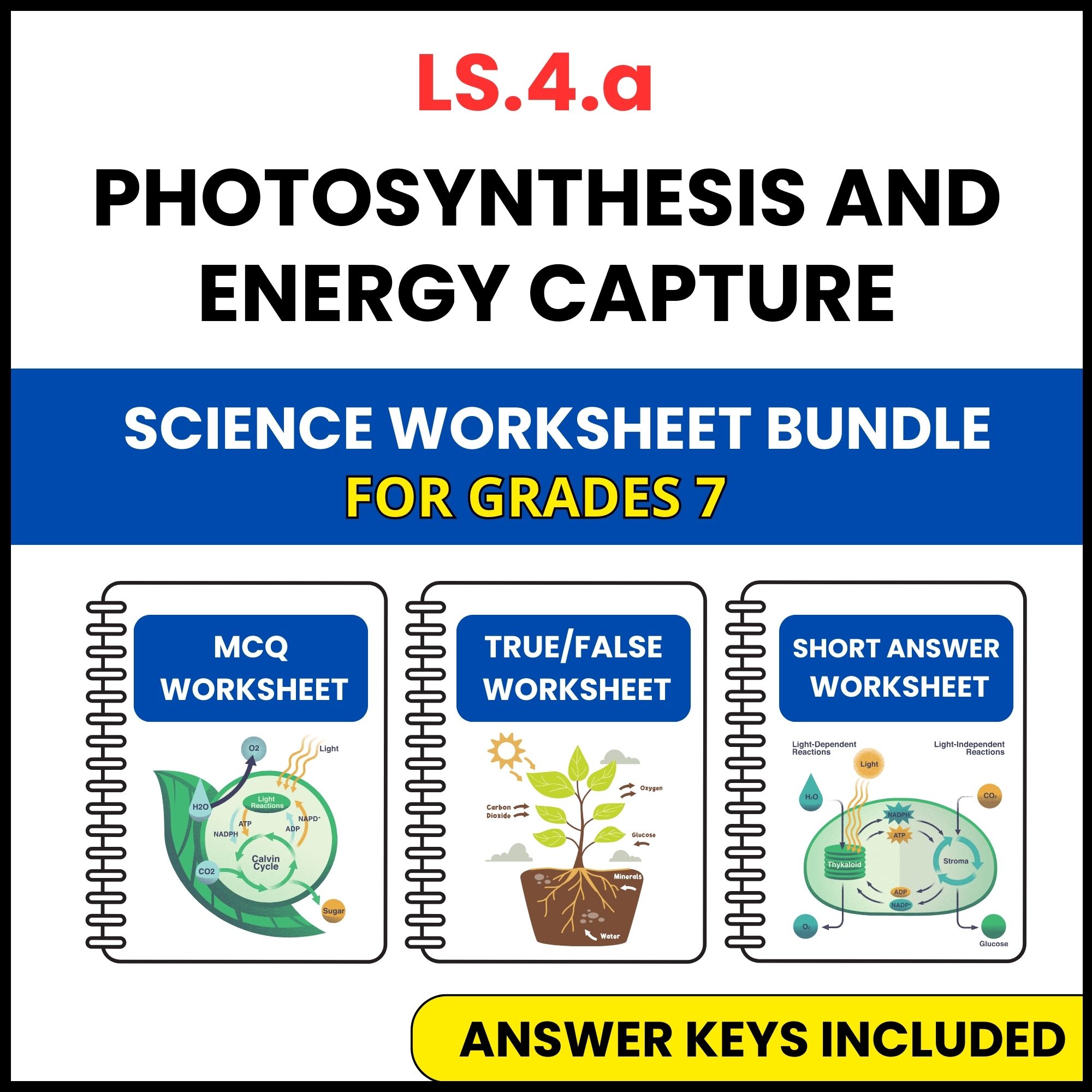 VA SOL Life Science | Photosynthesis and Energy Capture | 3 Worksheets | Grade 7